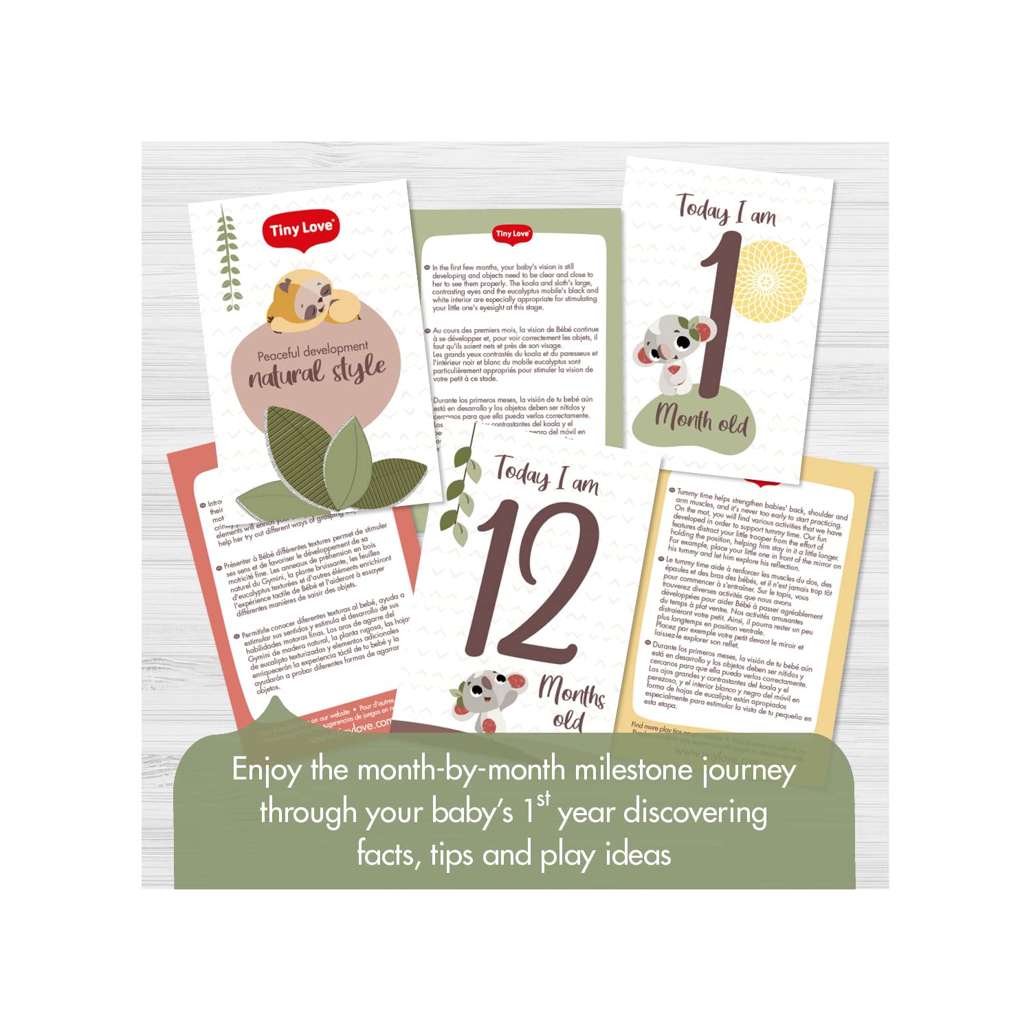 Tiny Love Boho Chic Luxe Developmental Gymini