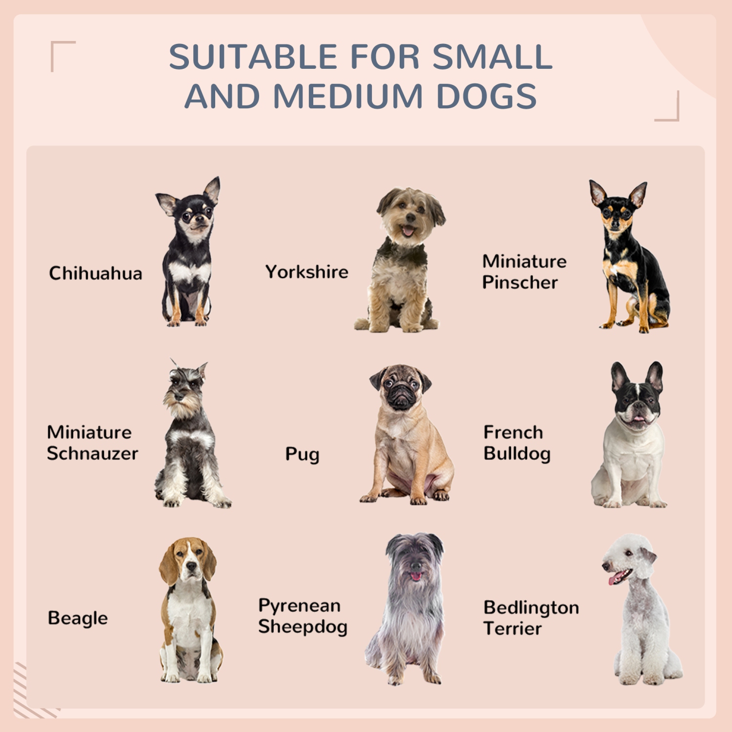 PawHut – Maison pour chiens en rotin surélevée avec auvent, lit pour chiens extensible en osier avec coussin résistant à l’eau, pour petit et moyen