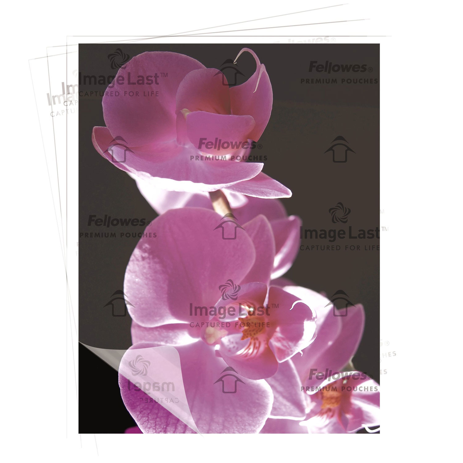 Pochettes de plastification à chaud de 9 x 11,5 po ImageLast de Fellowes avec protection UV - 3 mil - Paquet de 200