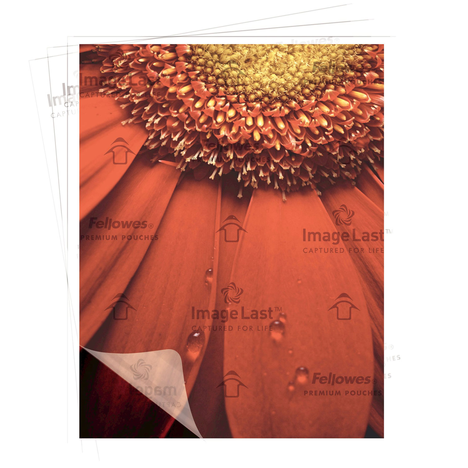 Pochettes de plastification à chaud de 9 x 11,5 po ImageLast de Fellowes avec protection UV - 5 mil - Paquet de 200