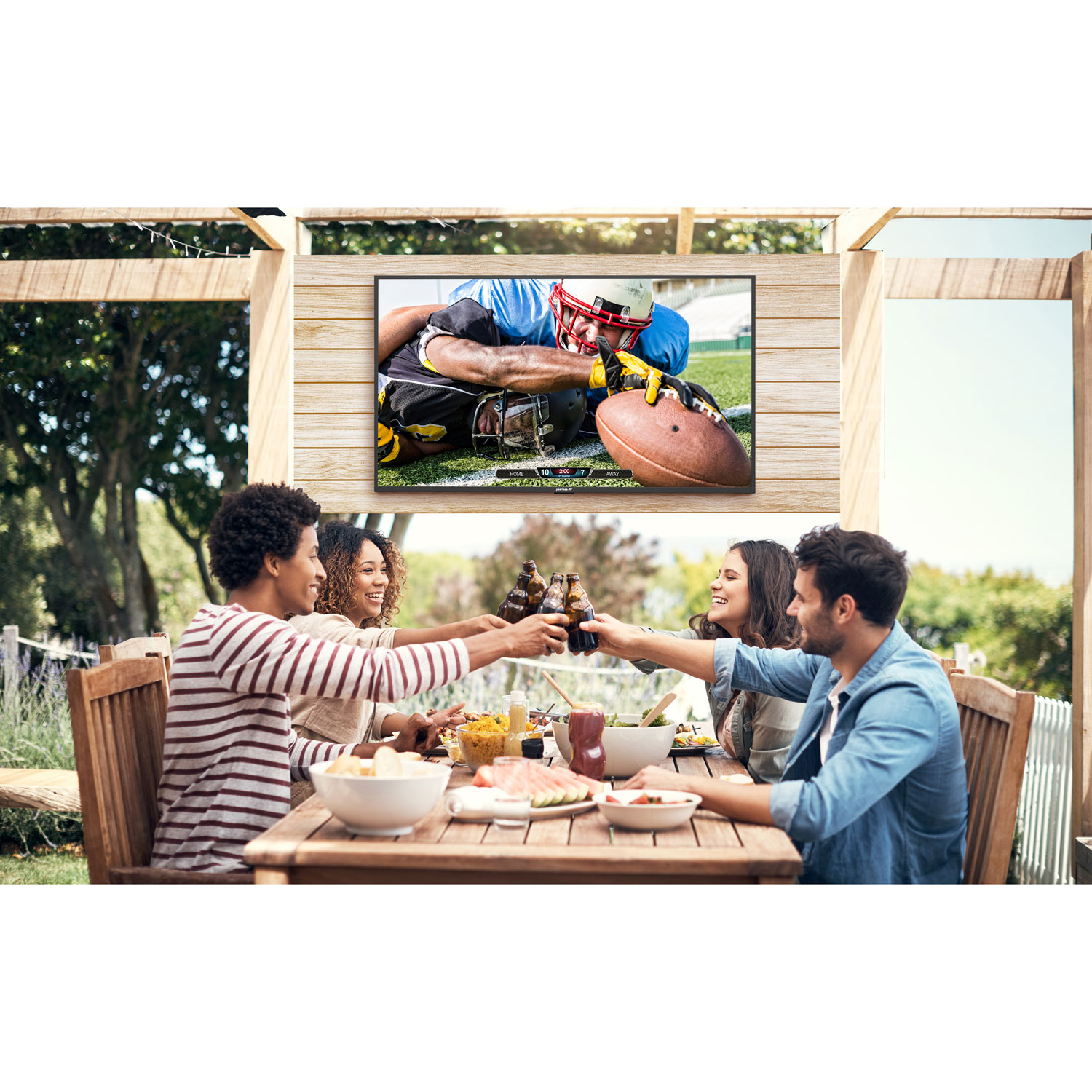 Neptune Full Sun 65" 4K UHD HDR LED webOS Outdoor Smart TV