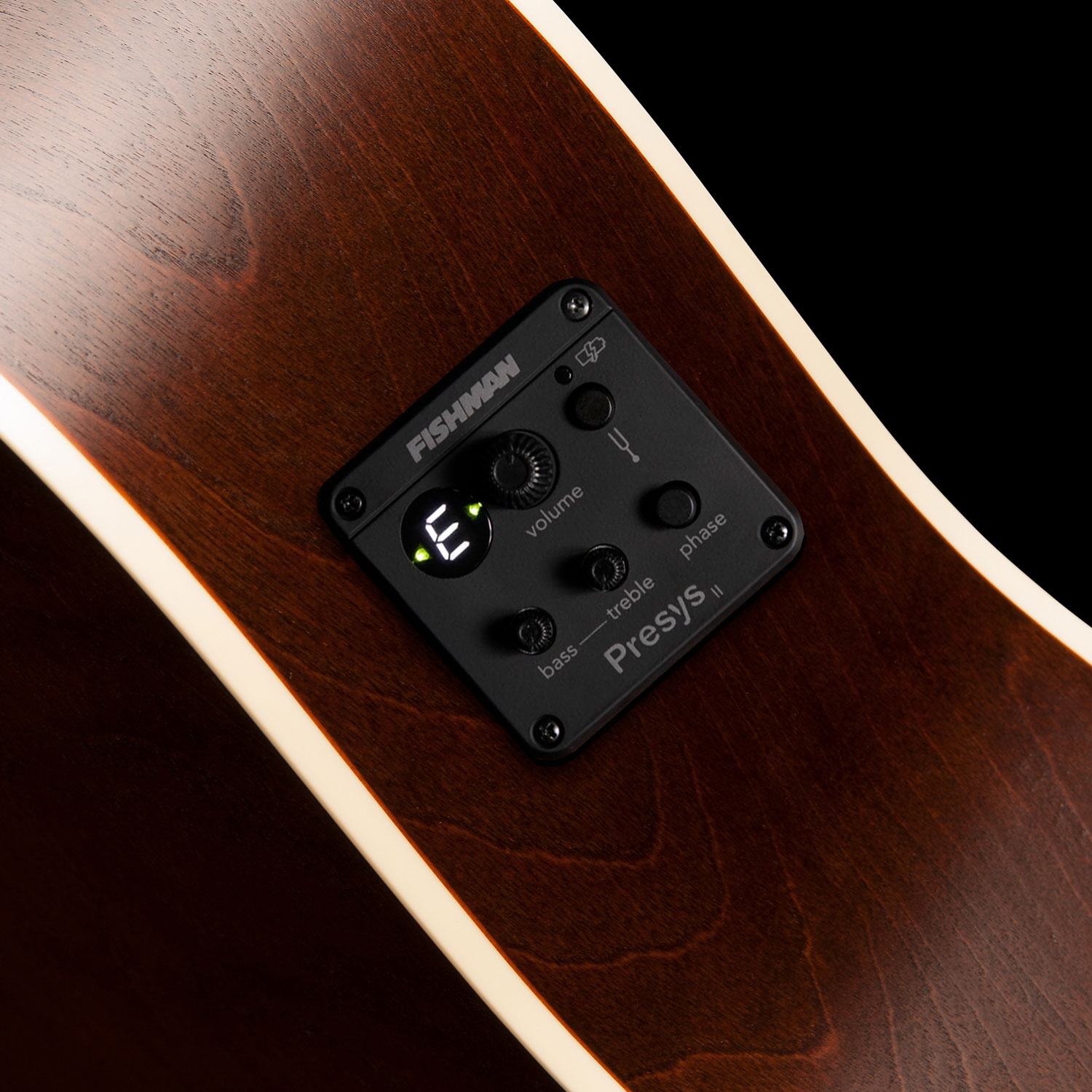 Guitare acoustique Americana CW Presys II d'Art & Lutherie - Bourbon Burst