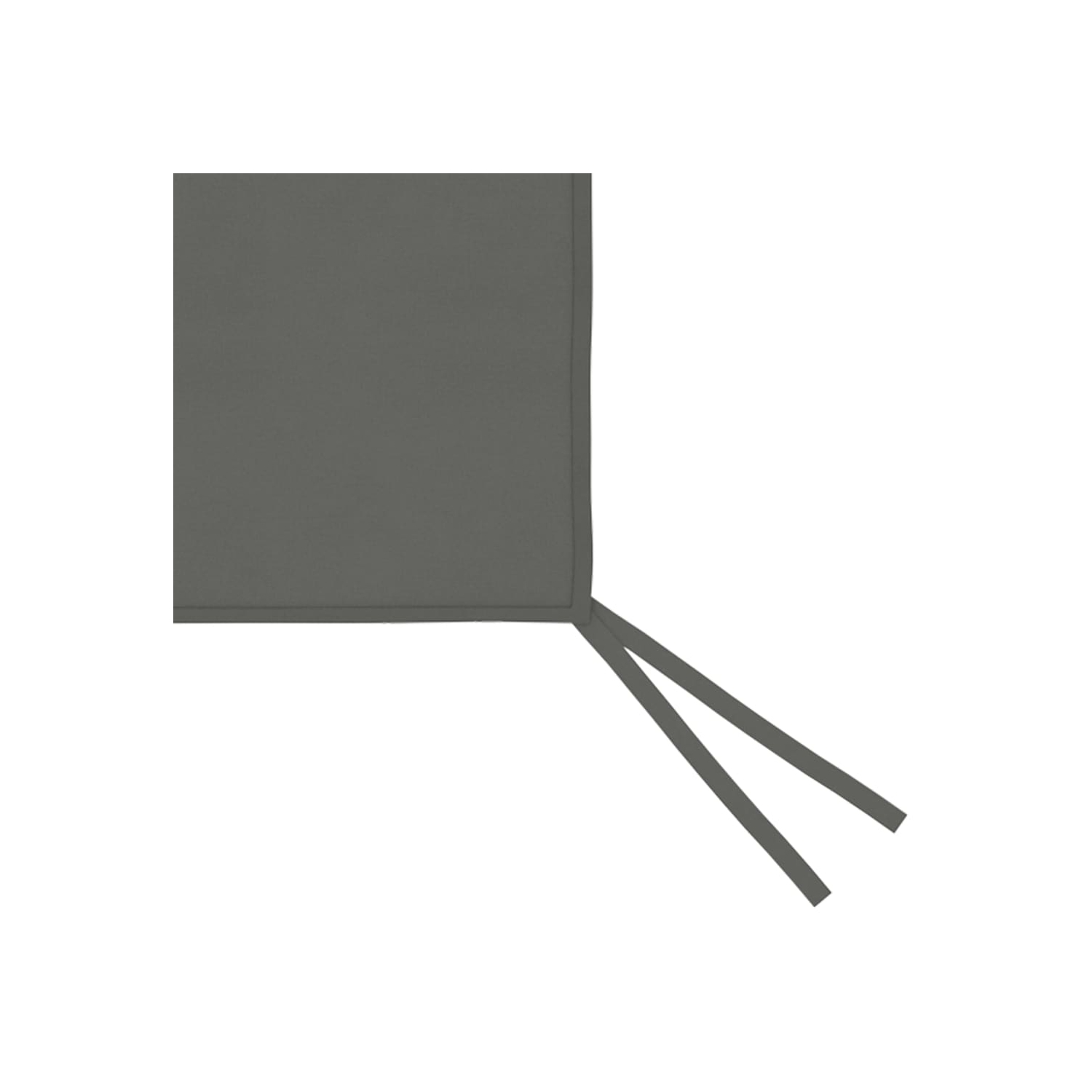 Parois latérales pour abri de jardin avec fenêtres, 2 pièces, anthracite