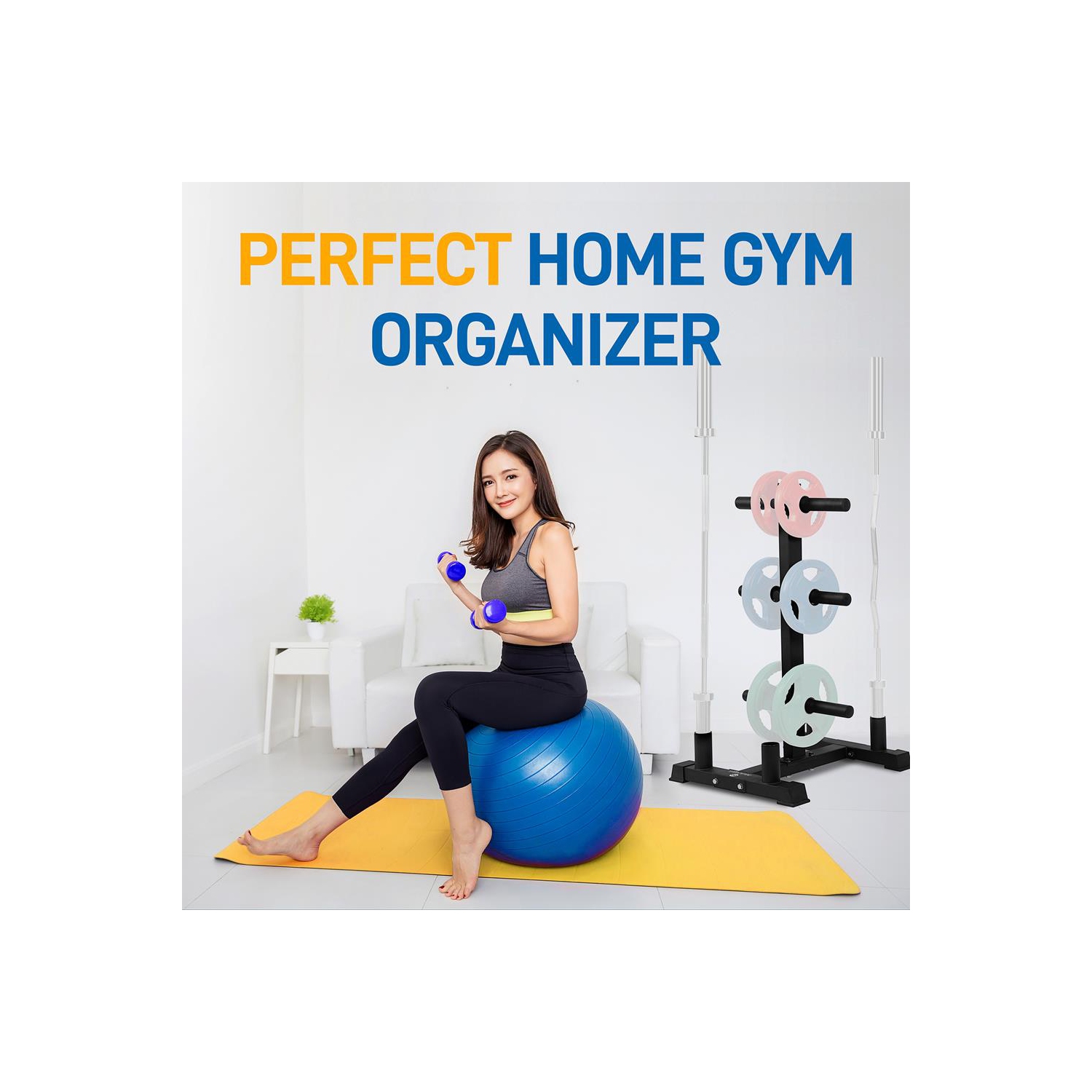 Weight Plate Rack with Barbell Holders, 800-Pound Capacity