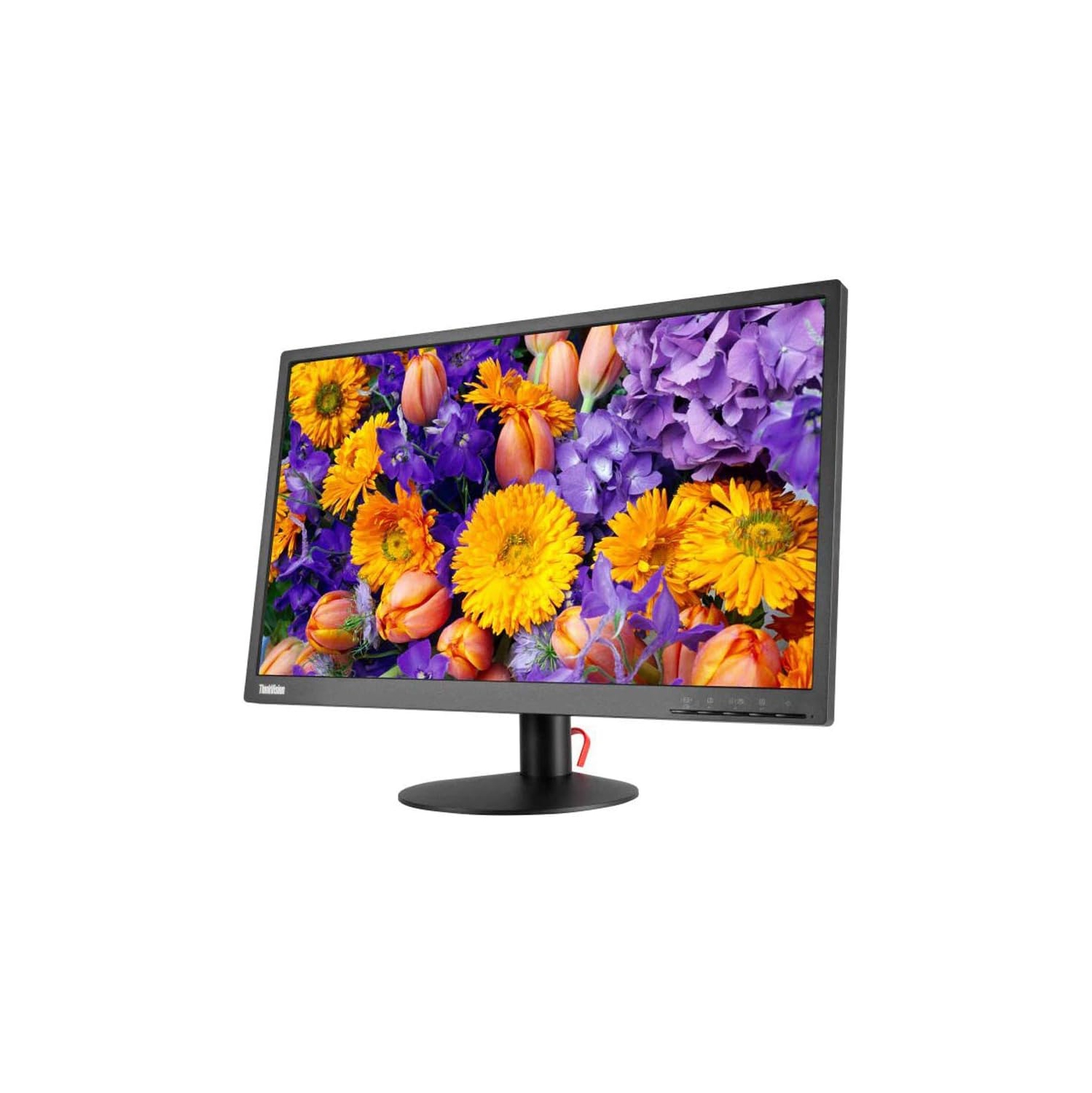 Refurbished (Good) - Lenovo ThinkVision E24-10 24-inch Professional Monitor, Full HD IPS Display, 75Hz, VESA Mount, DisplayPort