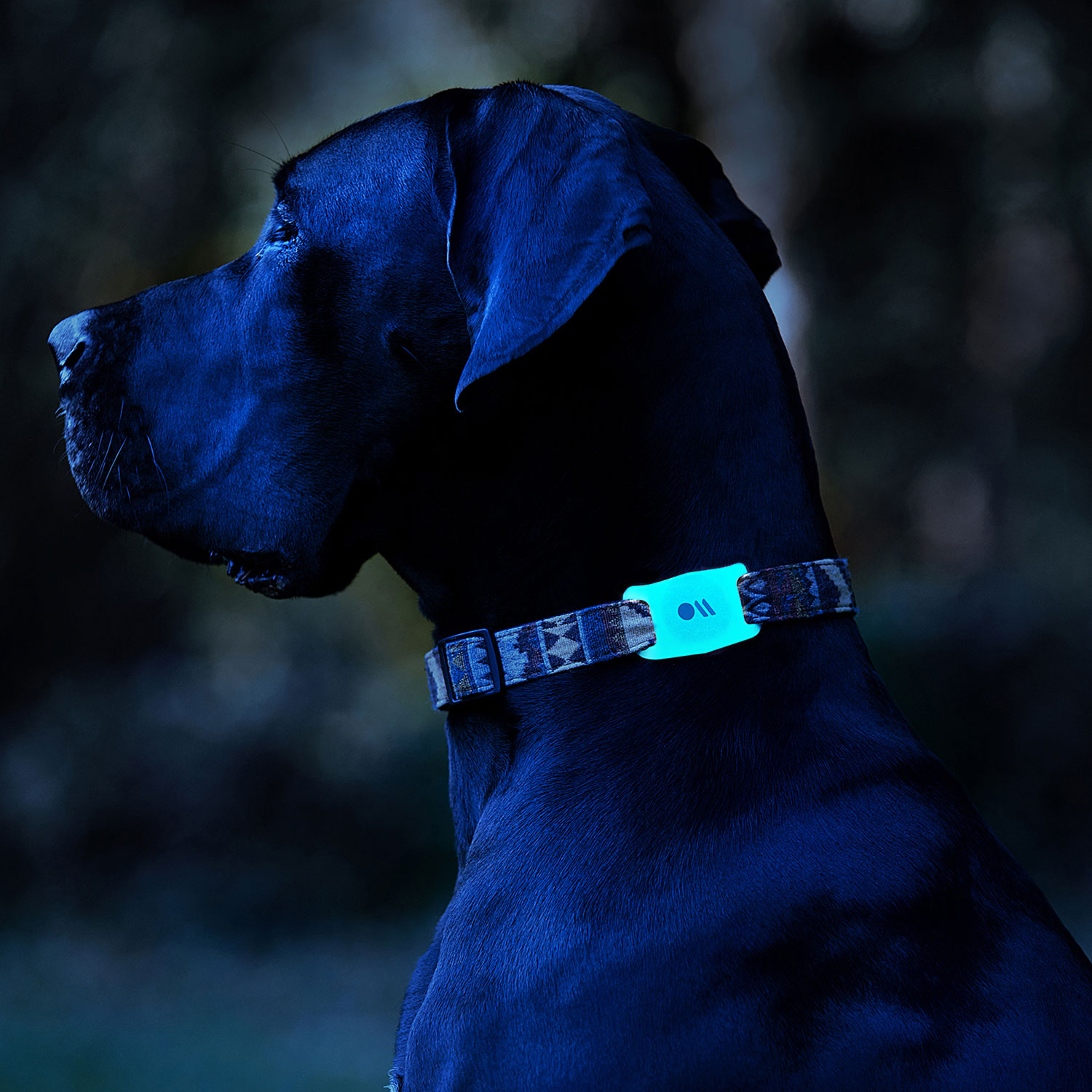 Case-Mate Dog Collar Case for AirTag - Glow-in-the-Dark
