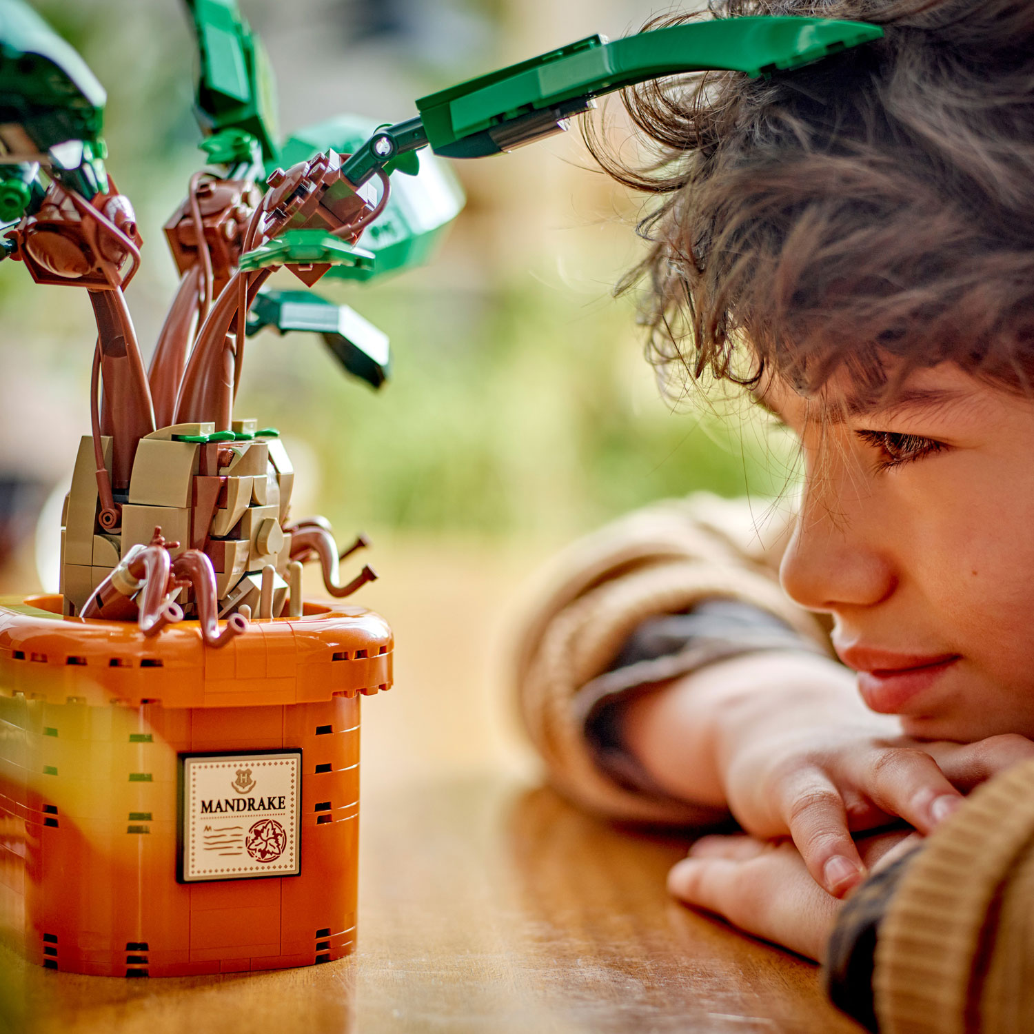 LEGO Harry Potter: Mandrake - 579 Pieces