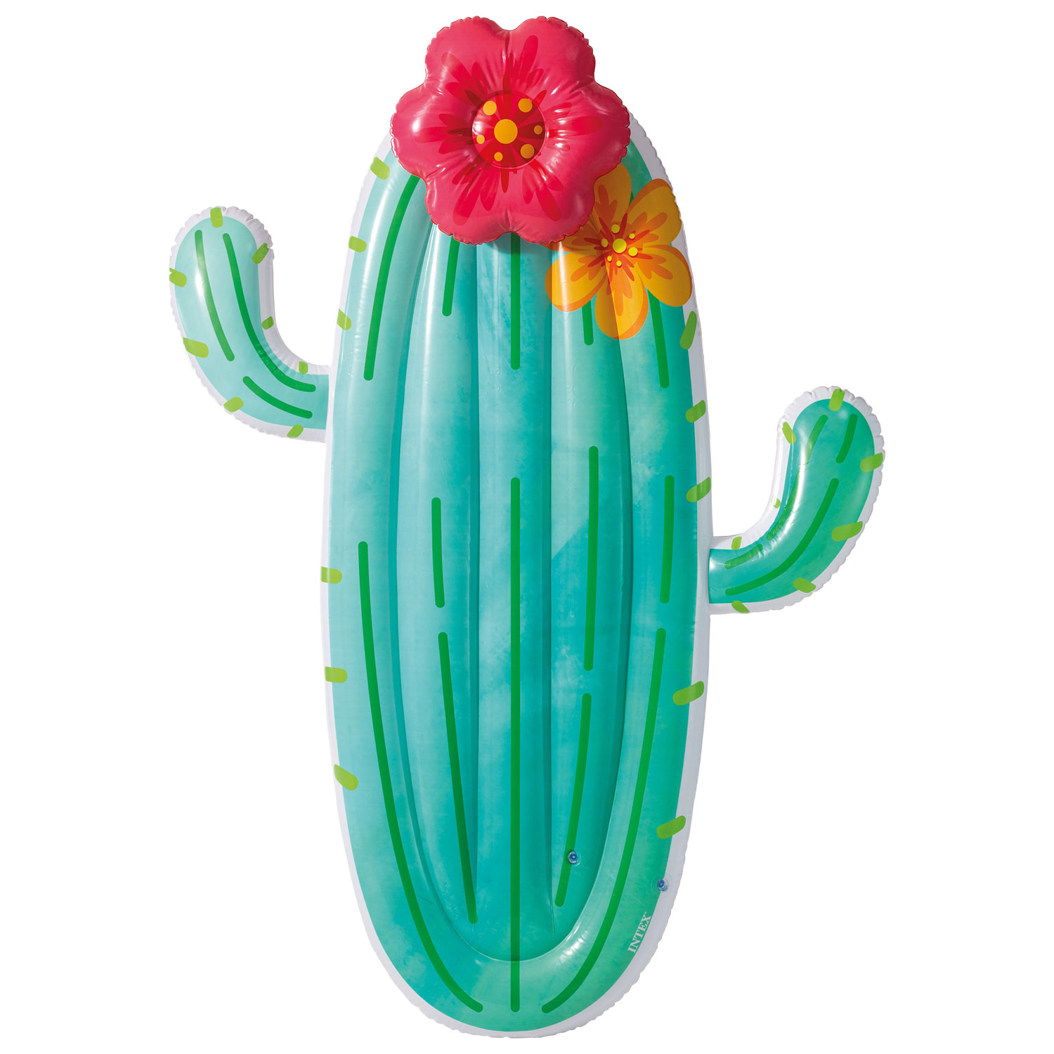 Intex Cactus Inflatable Float