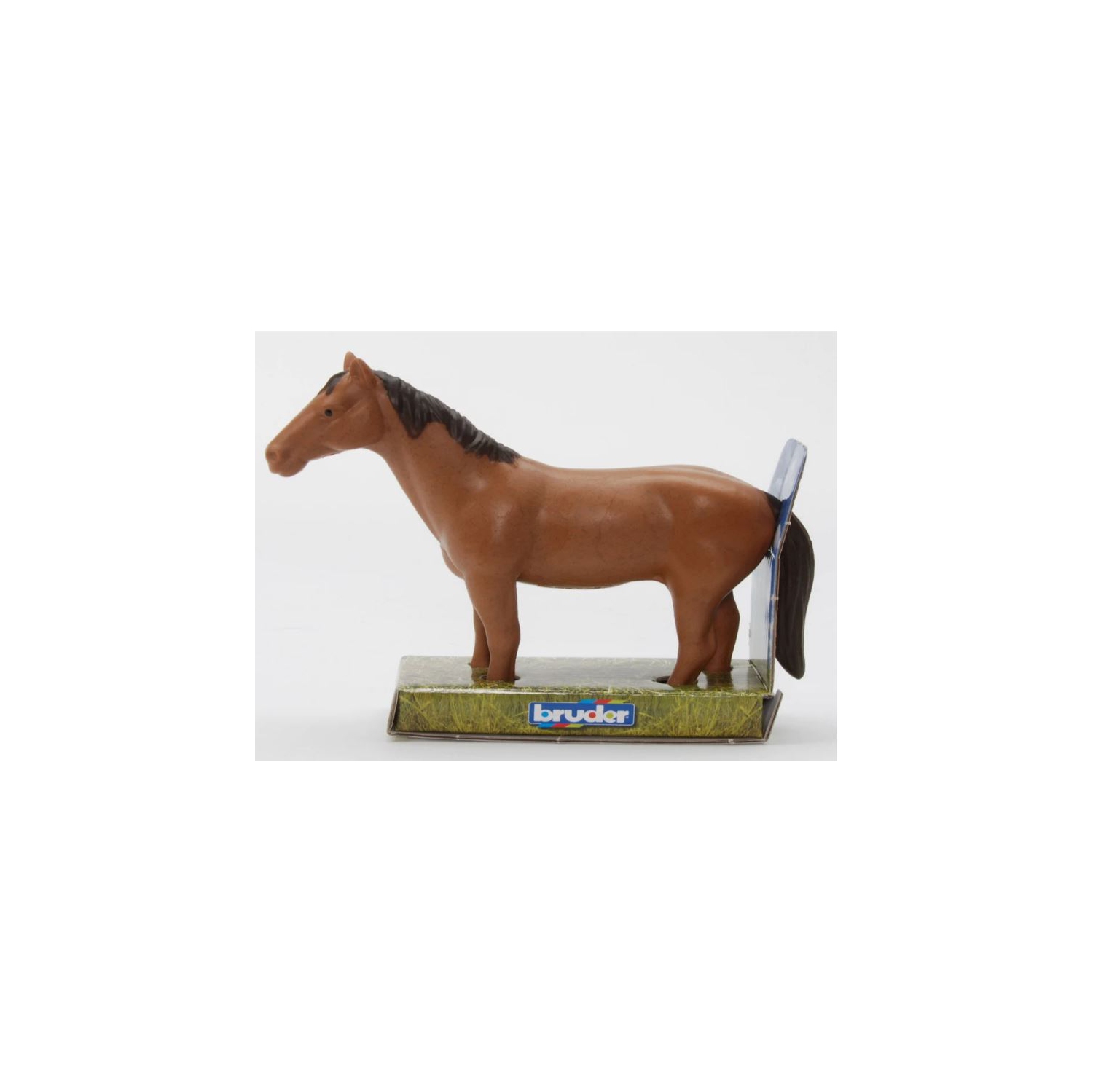 Horse Brown 02352