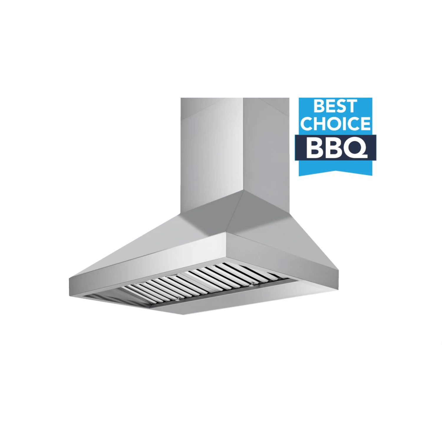 Victory 48 Inch 1200 CFM Outdoor BBQ Range Hood in Stainless Steel