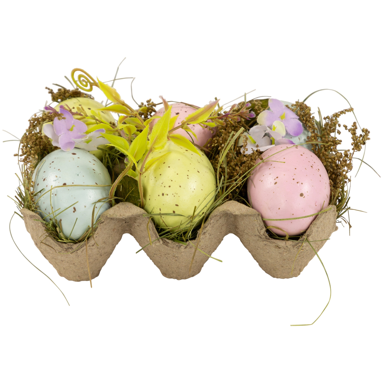 Speckled Easter Eggs with Carton Decoration - 6" - Set of 6