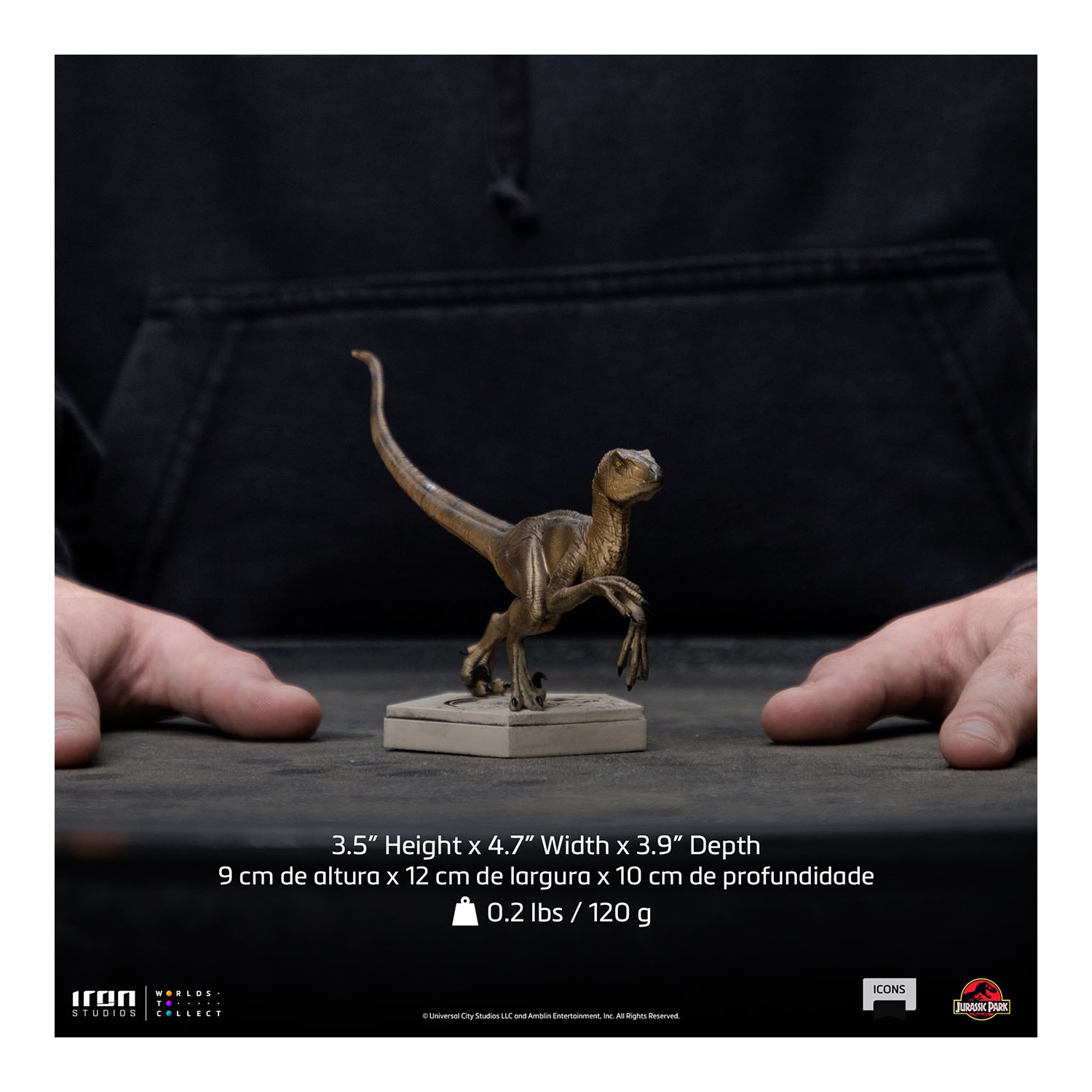 Jurassic Park - Velociraptor B - icônes d'échelle d'art