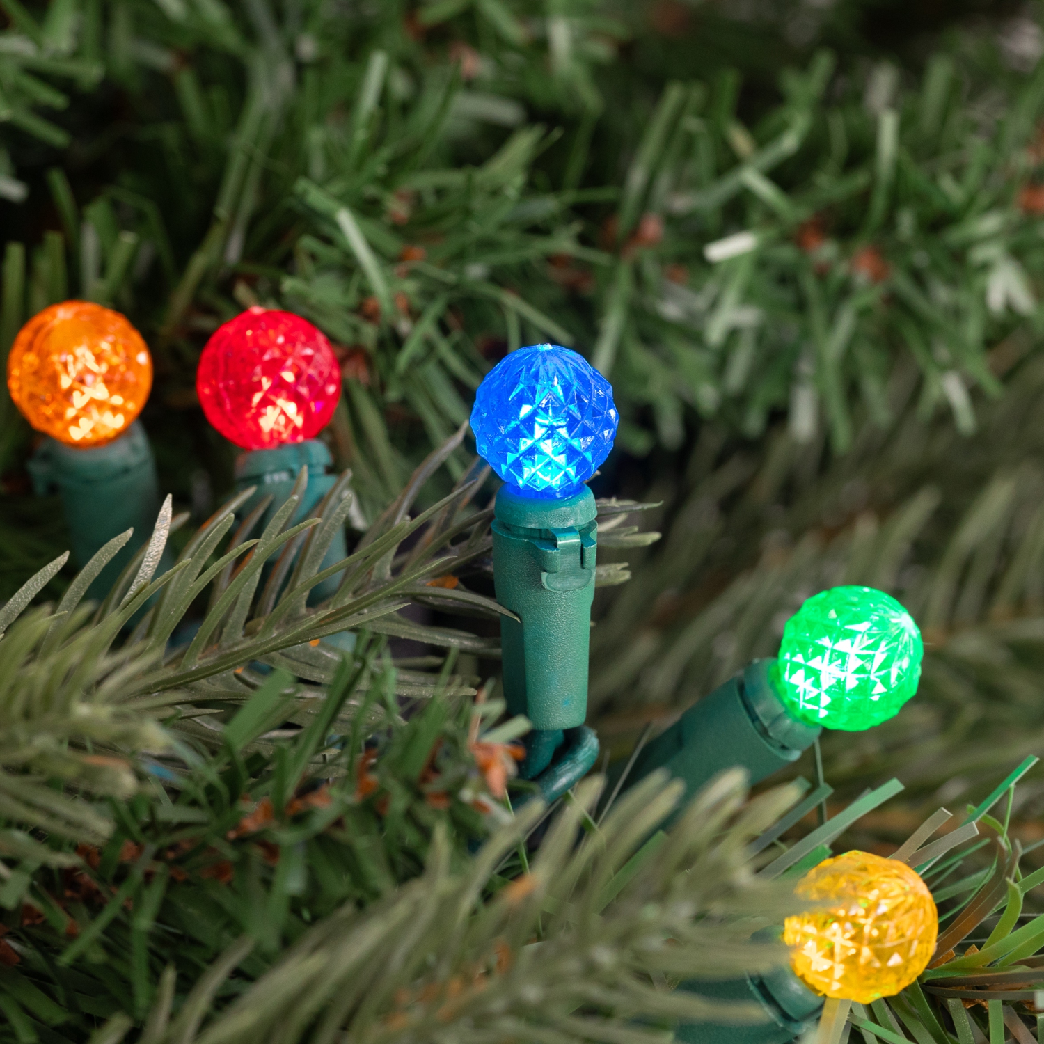 LED G12 Berry Christmas Lights - Multicolor - 16' Green Wire - 50ct