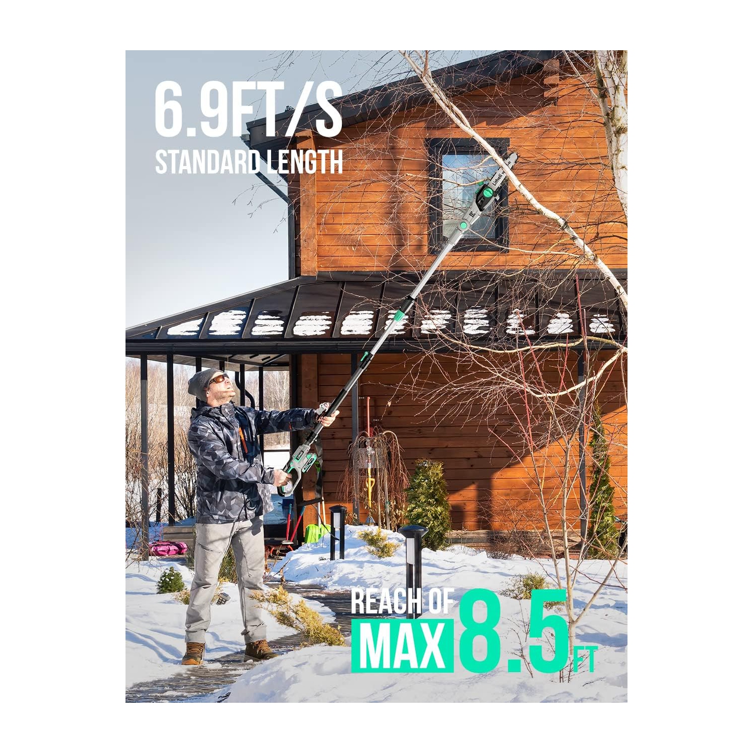 Litheli Cordless Pole Saw 10-Inch, 20V Battery-Powered Pole Saws for Tree Trimming,with 2.0Ah Battery & Charger