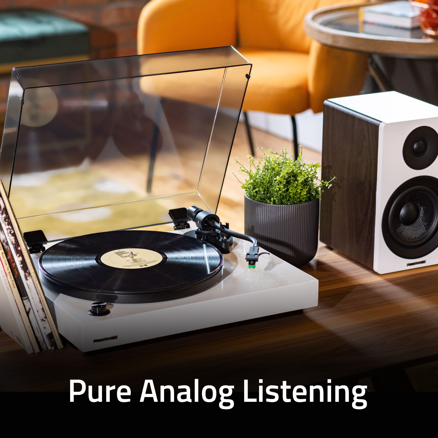 Fluance RT81+ Turntable & Ai81 Tower Speakers: Superior Sound Harmony for Analog Lovers