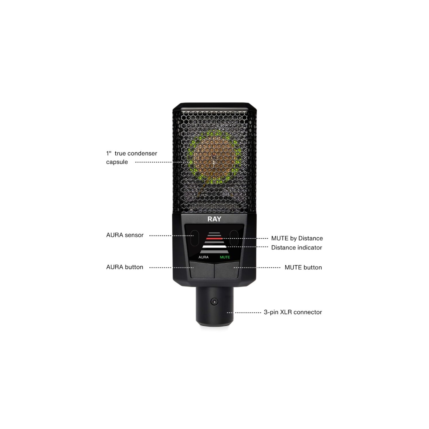 Lewitt Ray Condenser Mic with Aura Technology