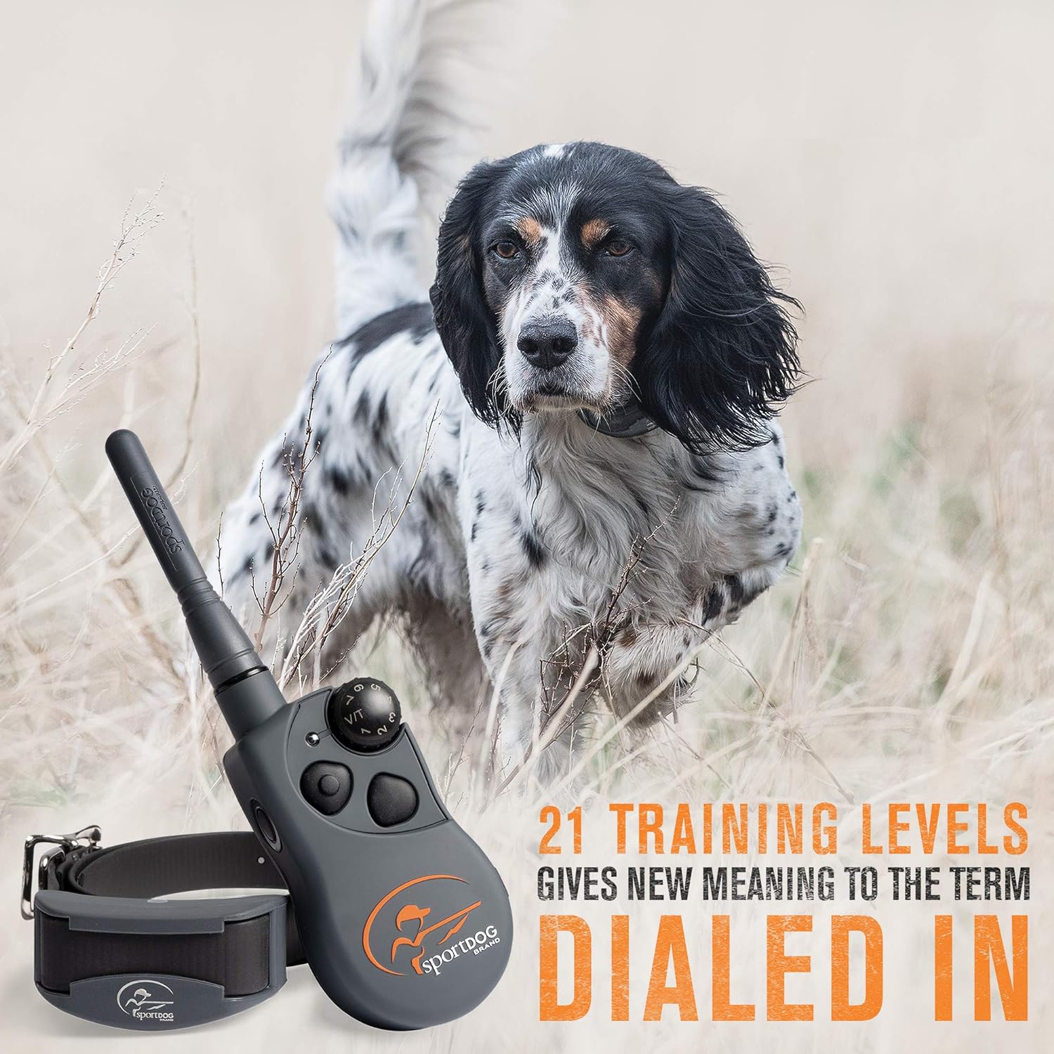 Appareil d'entraînement à distance milieu de gamme SD-825X de SportDOG Brand pour chiens sportifs