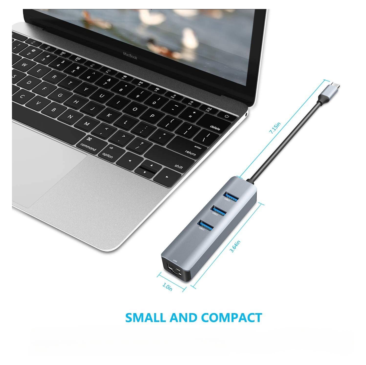 USB C to Ethernet Adapter,USB C/Type-C Gigabit Ethernet Network Adapter, for MacBook Air, Dell XPS, MacBook Pro 2021/2020/2019/2018/2017 Grey