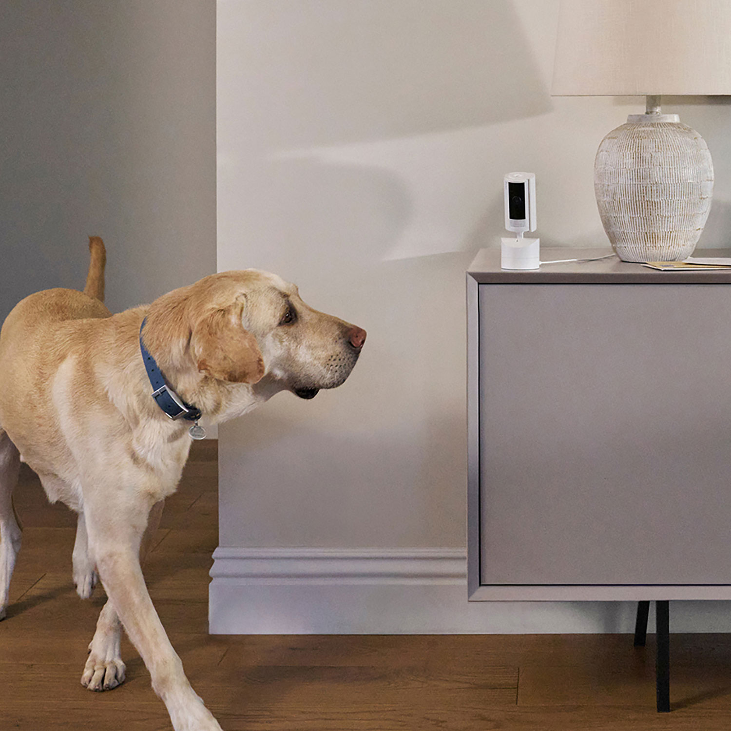 Caméra d'intérieur HD 1080p panoramique/inclinable de Ring à couverture panoramique horizontale 360°, vidéo en direct et communication