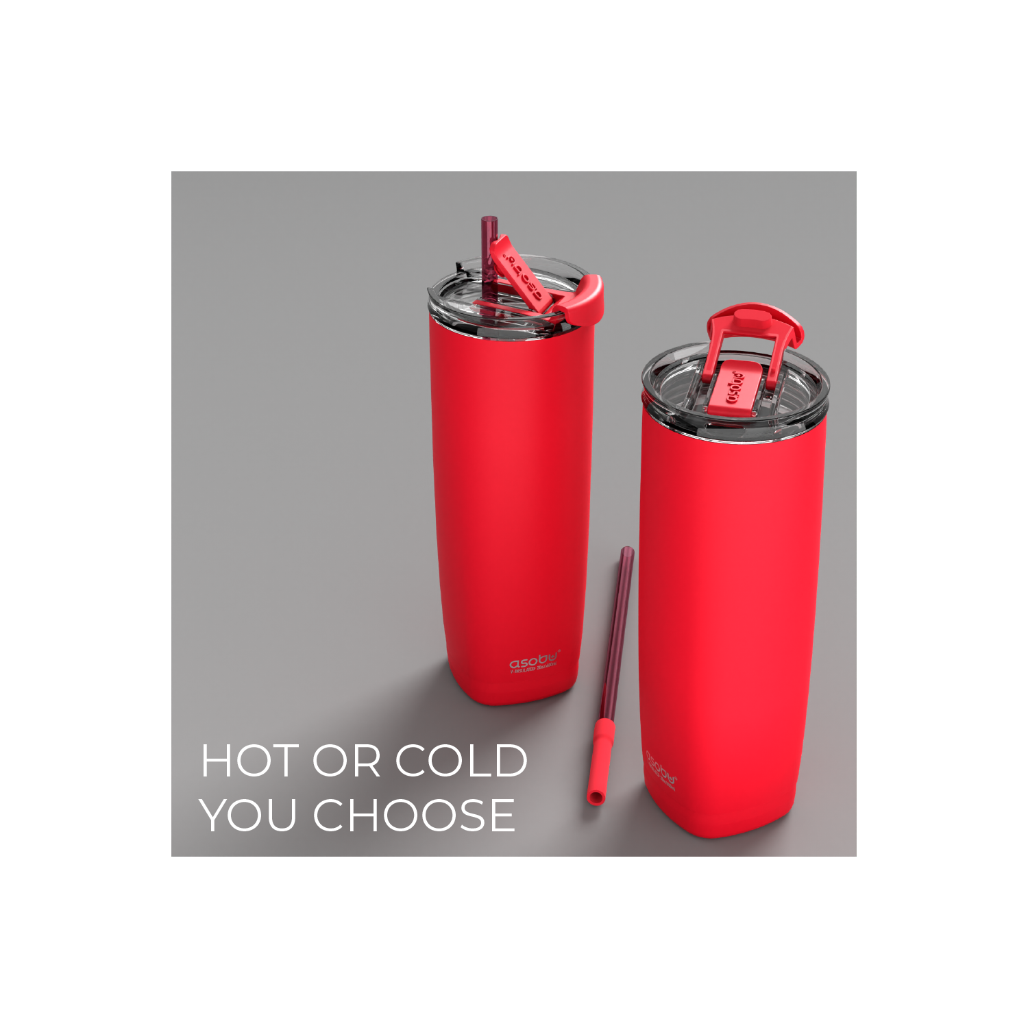 Asobu Aqualina Stainless Steel Insulated Water Bottle with Interchangeable Hot and Cold Lid and Built in Straw