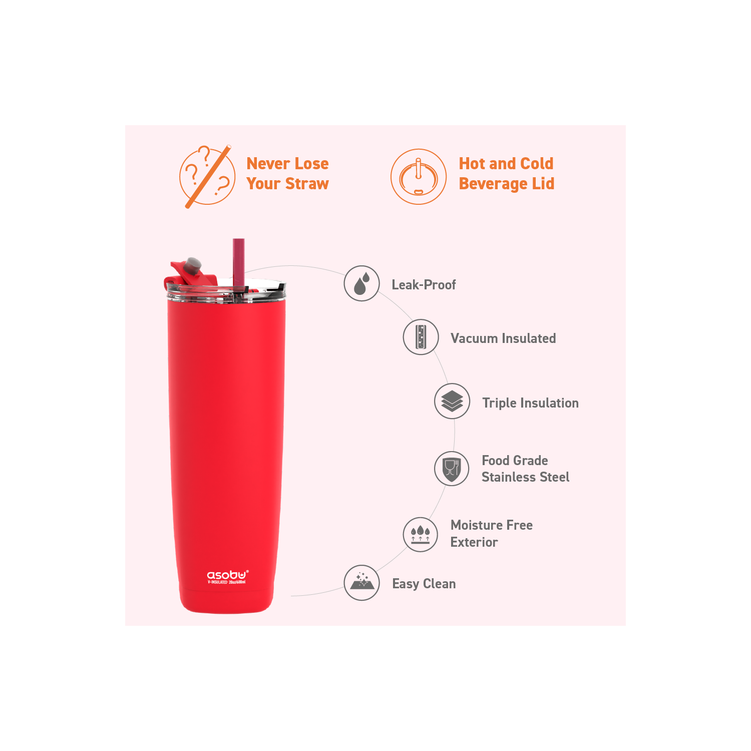 Asobu Aqualina Stainless Steel Insulated Water Bottle with Interchangeable Hot and Cold Lid and Built in Straw