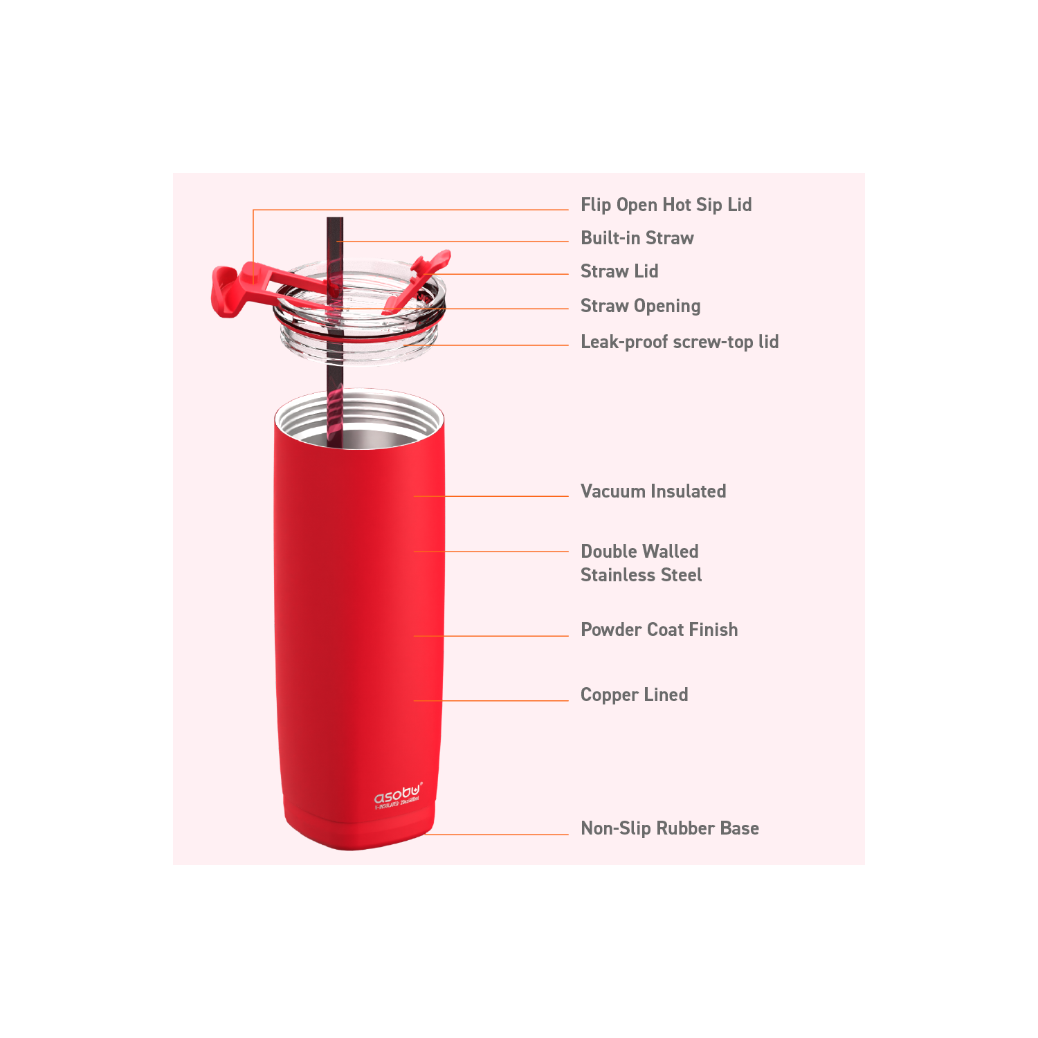 Asobu Aqualina Stainless Steel Insulated Water Bottle with Interchangeable Hot and Cold Lid and Built in Straw