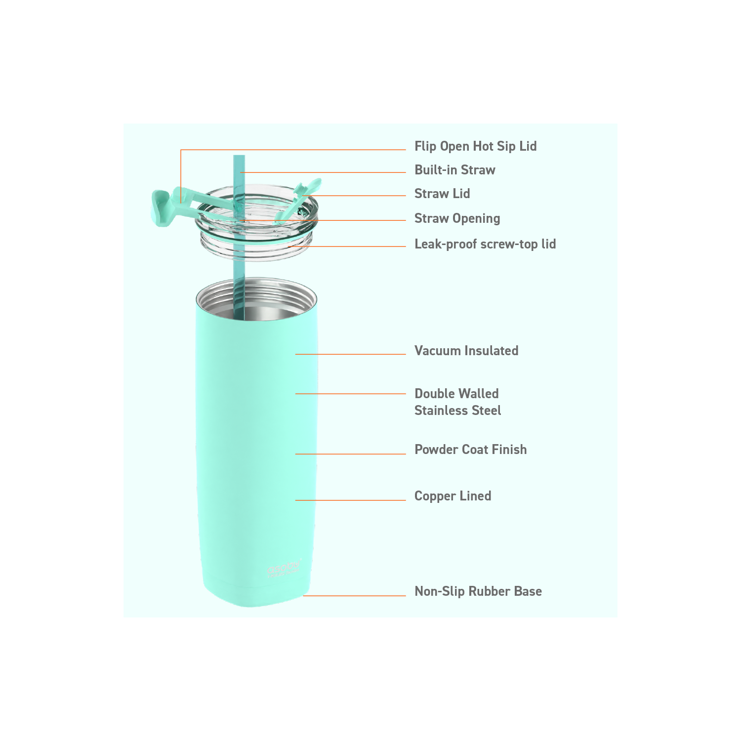 Asobu Aqualina Stainless Steel Insulated Water Bottle with Interchangeable Hot and Cold Lid and Built in Straw