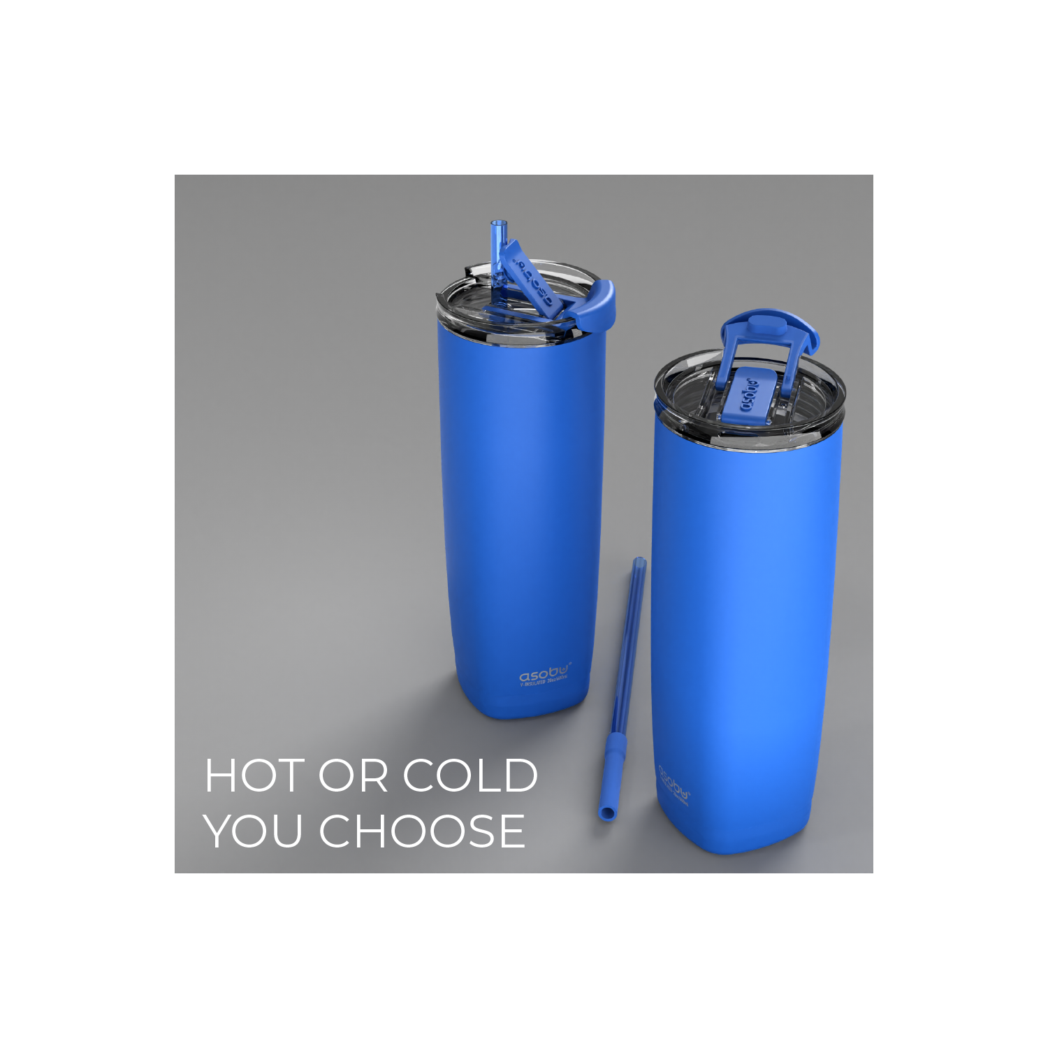 Asobu Aqualina Stainless Steel Insulated Water Bottle with Interchangeable Hot and Cold Lid and Built in Straw