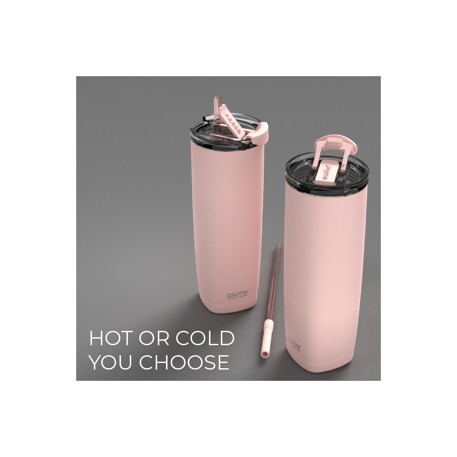 Asobu Aqualina Stainless Steel Insulated Water Bottle with Interchangeable Hot and Cold Lid and Built in Straw