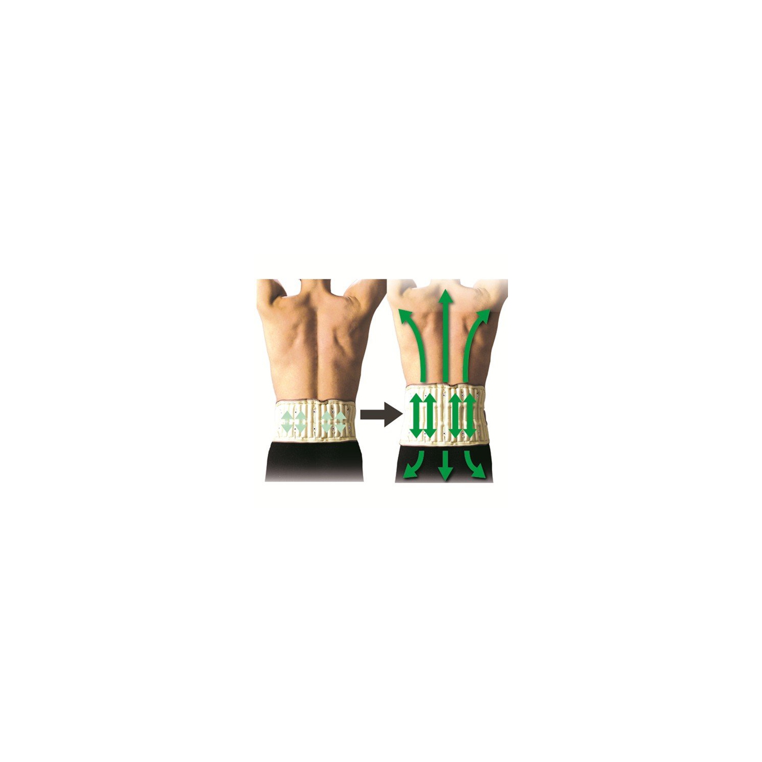 DR HO 3100UA WHITE 2EN1 COURROIE DE DÉCOMPRESSION EXTENSIBLE ET DE SOUTIEN