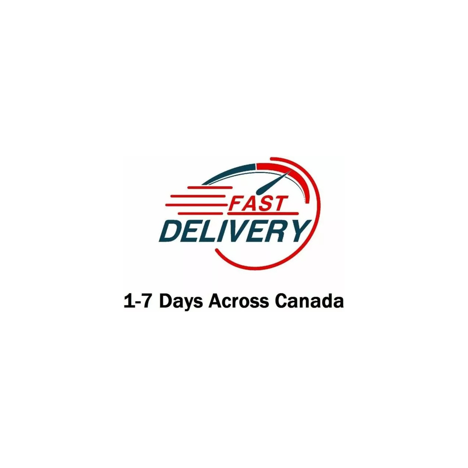 Ensemble pour véranda pour tentes murales en toile 14 x 16 po