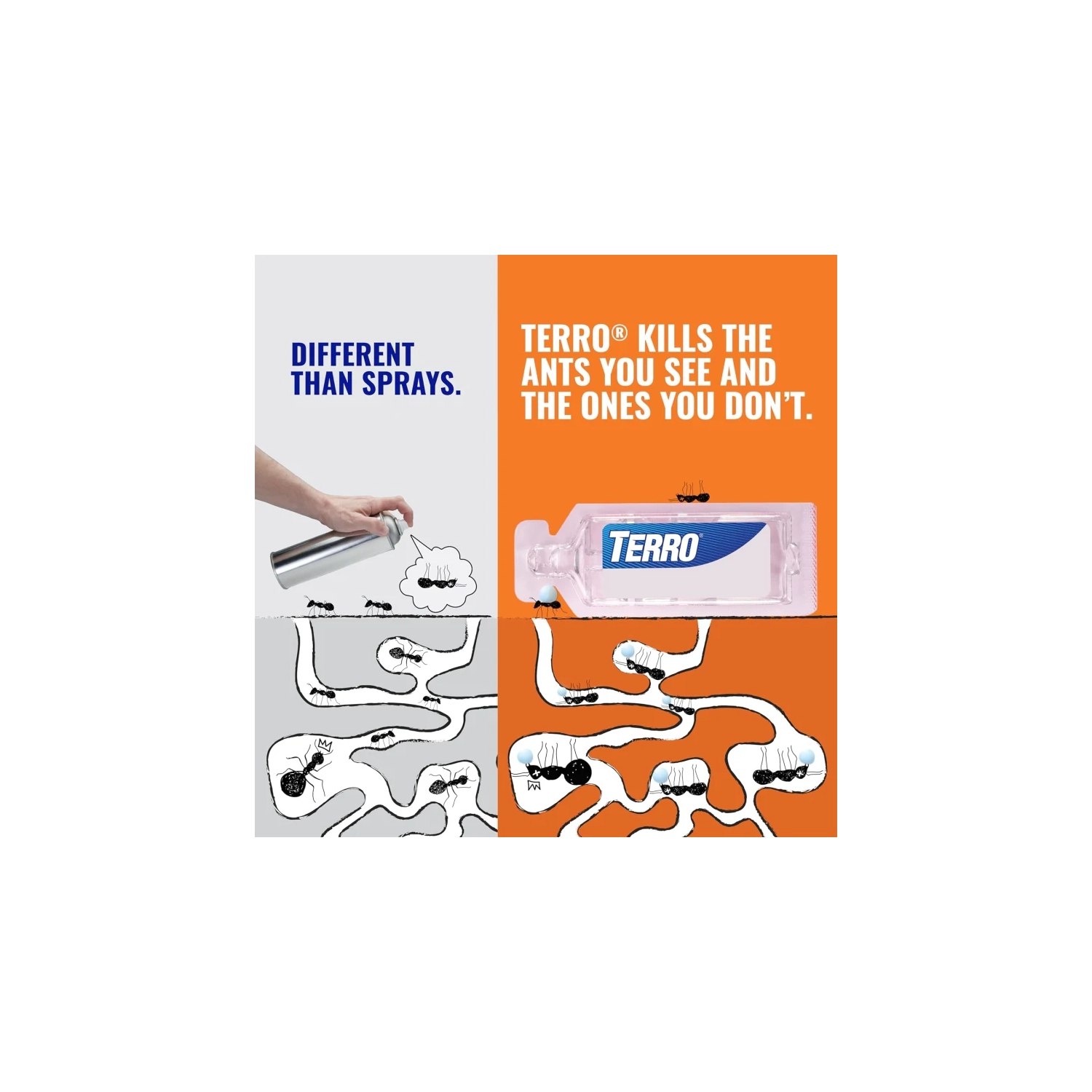 TERRO T300 B pulvérisateur d'fourmis - 12 stations de appâts pour une maîtrise efficace des fourmis