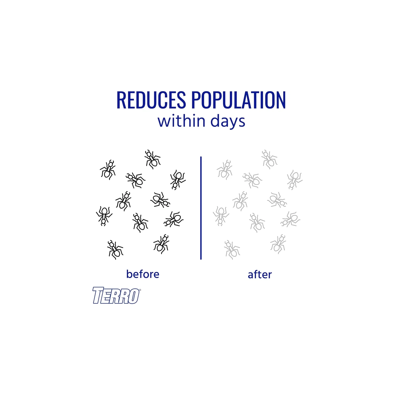 TERRO T300 B pulvérisateur d'fourmis - 12 stations de appâts pour une maîtrise efficace des fourmis