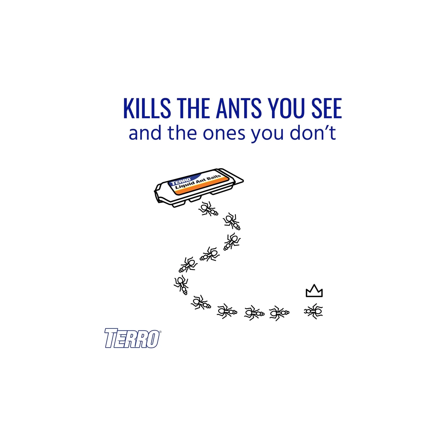 TERRO T300 B pulvérisateur d'fourmis - 12 stations de appâts pour une maîtrise efficace des fourmis