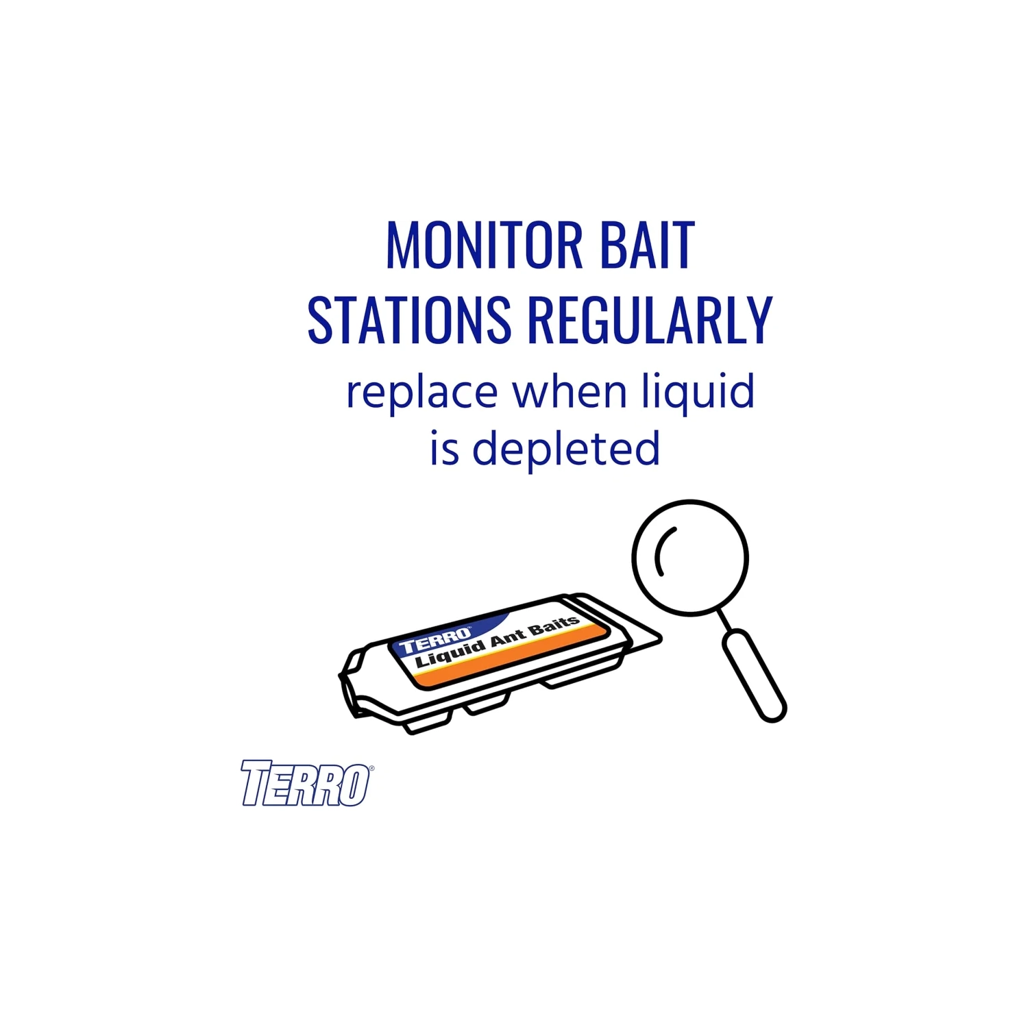 TERRO T300 B pulvérisateur d'fourmis - 12 stations de appâts pour une maîtrise efficace des fourmis