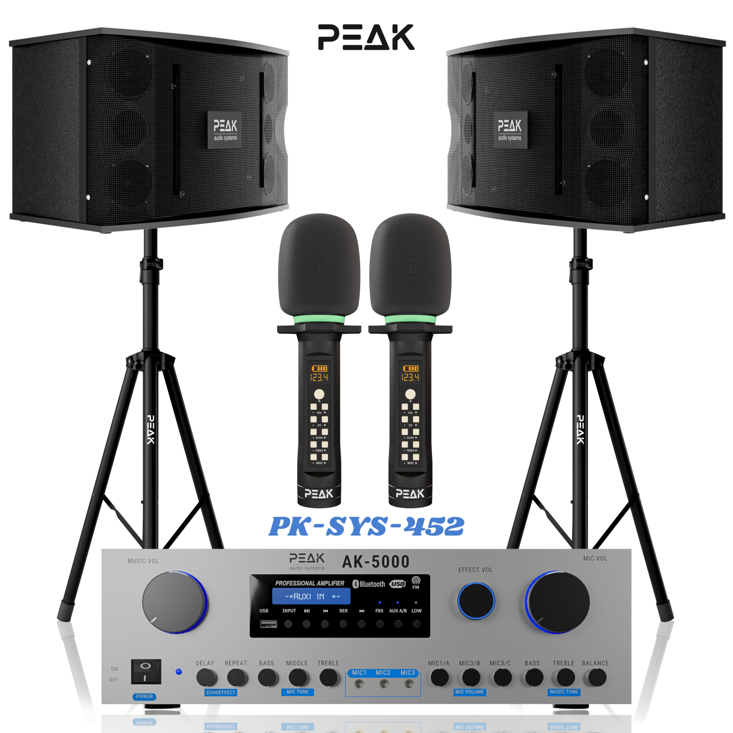 Système de karaoké haut de gamme sans fil STAGE II PLATINUM DE PEAK Karaoke - 3000&nbsp;W