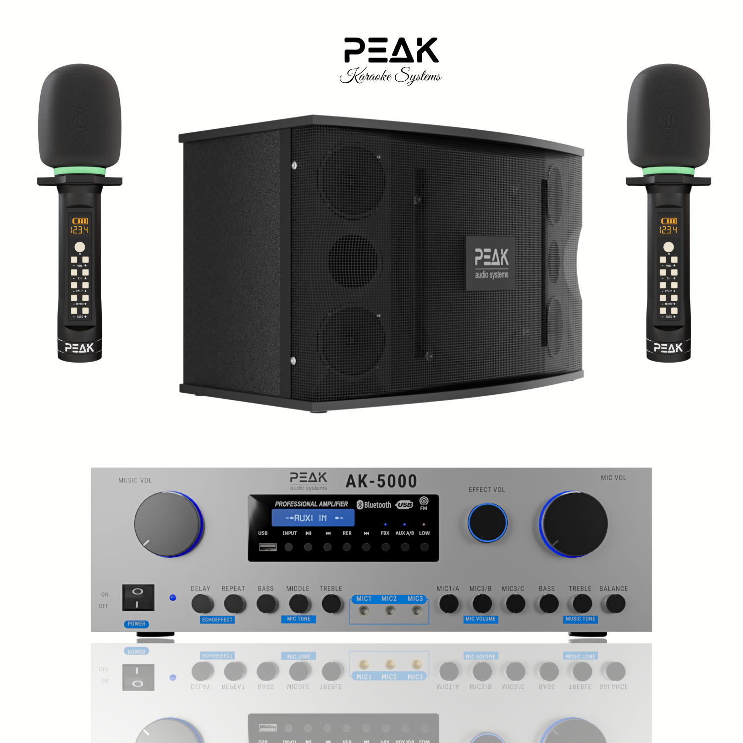 Système de karaoké haut de gamme sans fil STAGE II PLATINUM DE PEAK Karaoke - 3000&nbsp;W