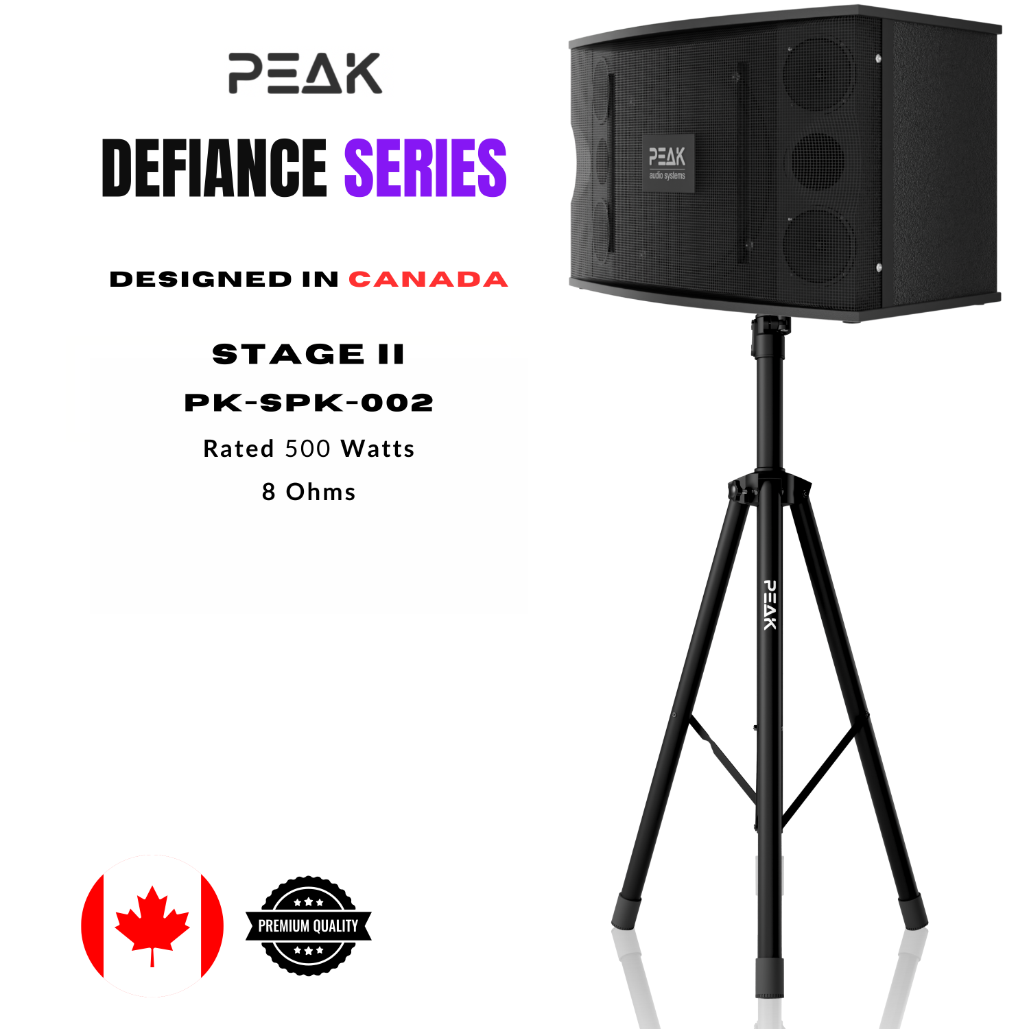 Système de karaoké haut de gamme sans fil STAGE II PLATINUM DE PEAK Karaoke - 3000&nbsp;W