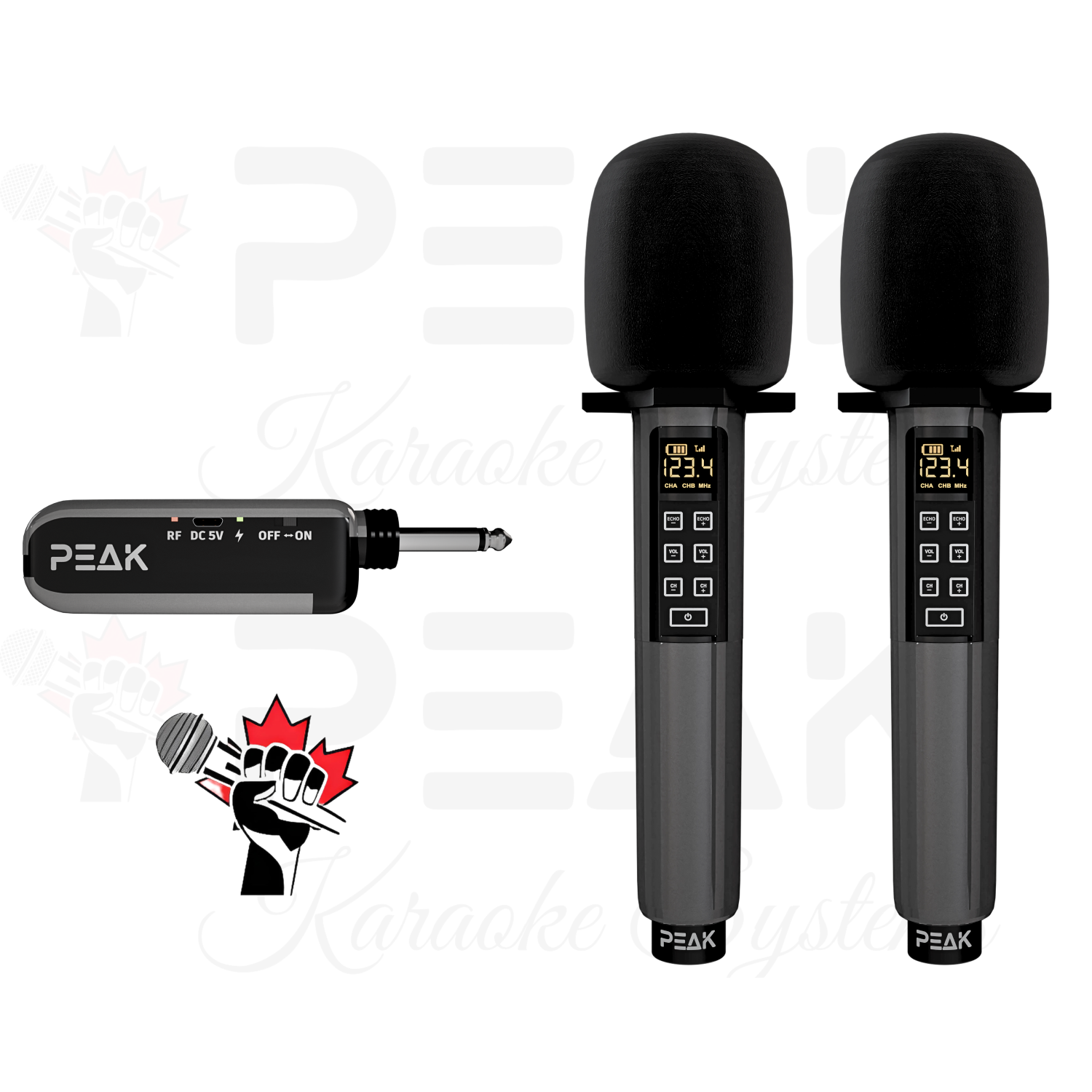 PEAK Karaoke GOLD PRO STAGE I System - 600W