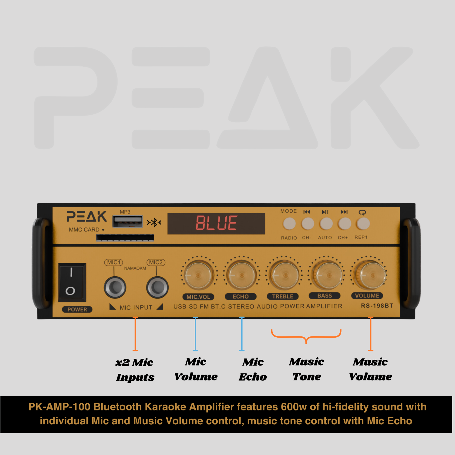 PEAK Karaoke GOLD PRO STAGE I System - 600W