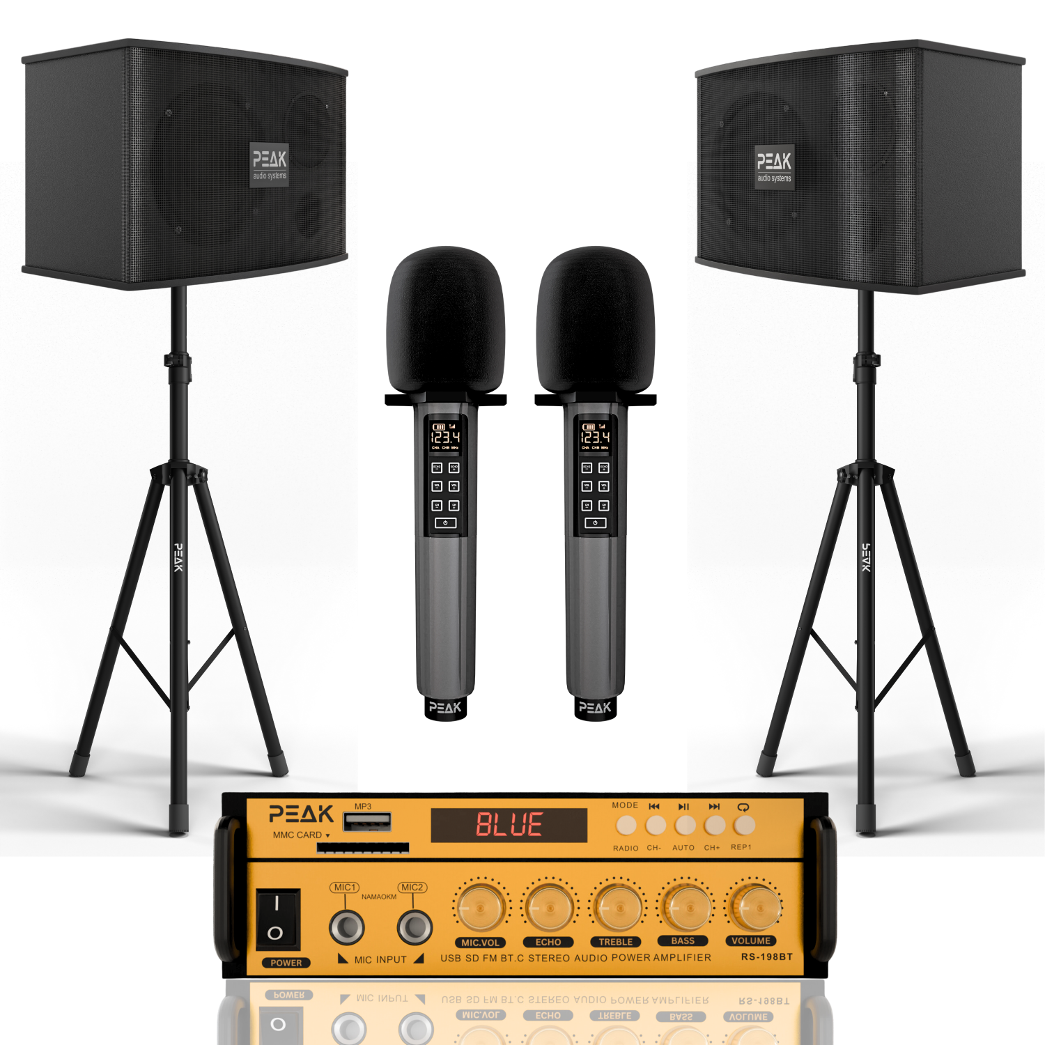 PEAK Karaoke GOLD PRO STAGE I System - 600W