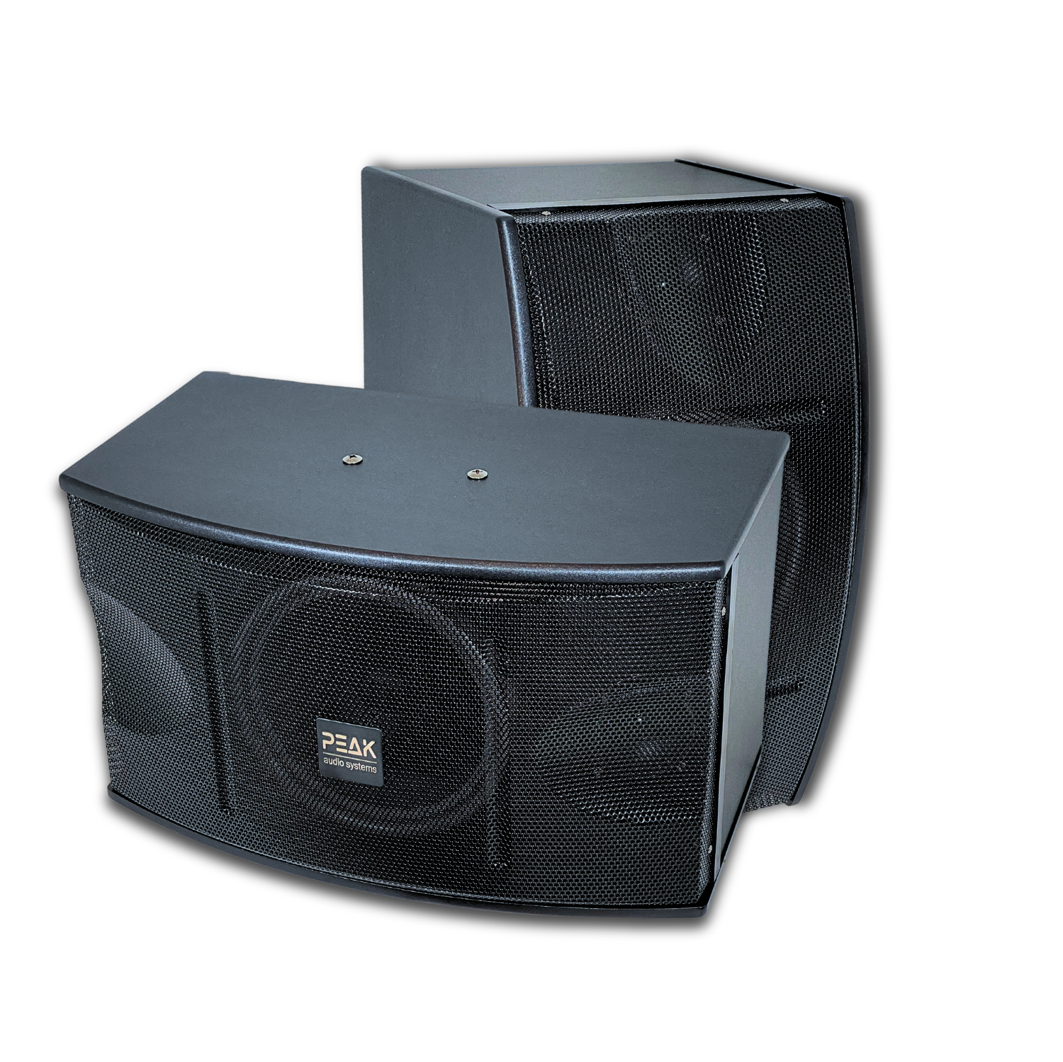 PEAK Karaoke Ultimate Speakers 10" Large Magnet Woofer with One 3" Mid Driver and One Tweeter per Speaker (Sold as a Pair) PK-SPK-002
