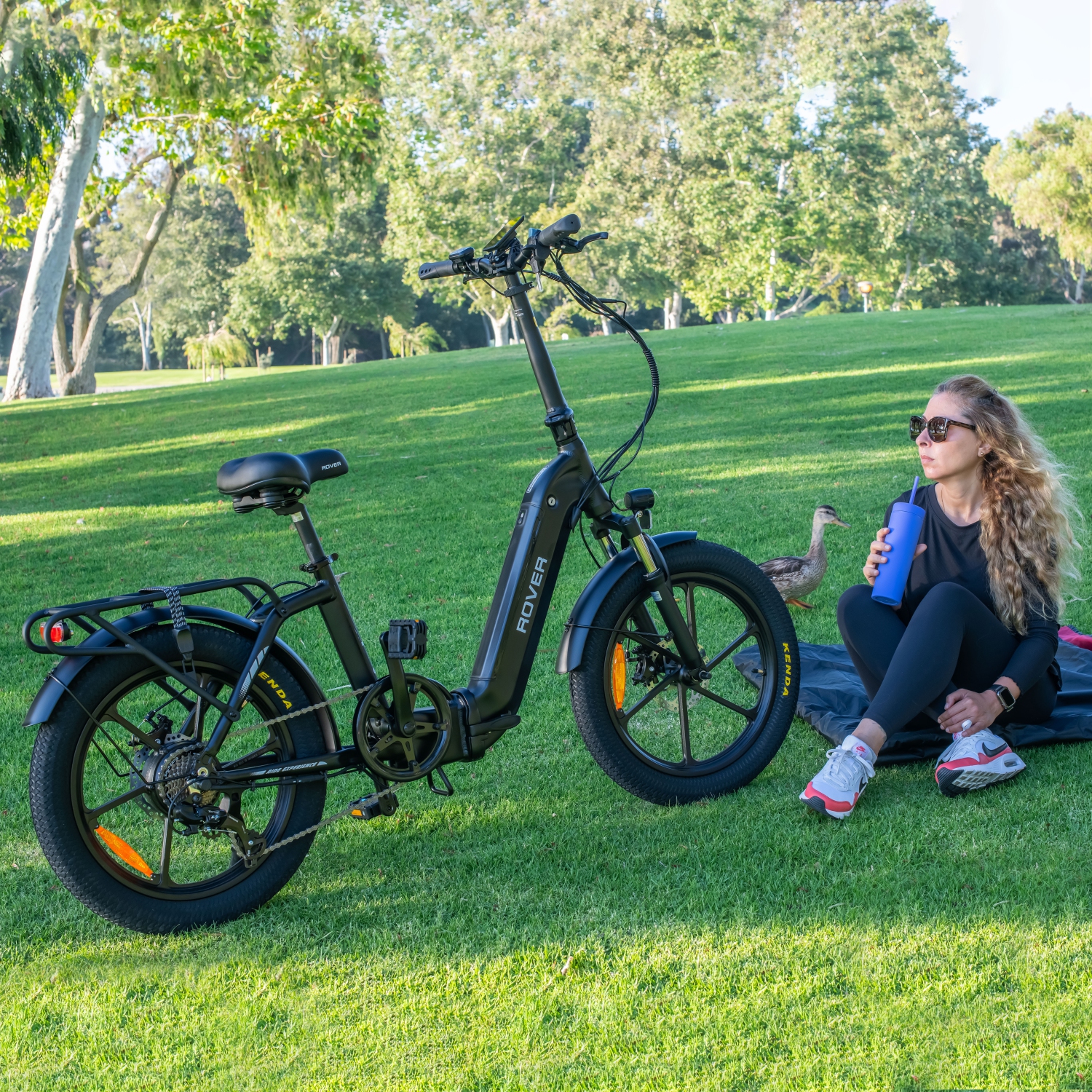 Rover By Land Rover 500-Watt Folding E-Bike with Pedal Assist-Black