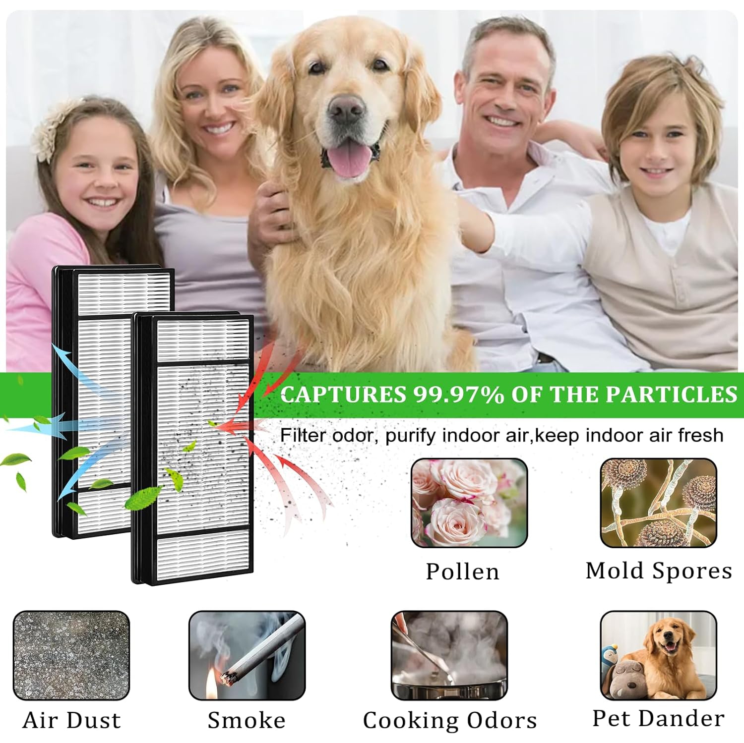 4 HEPA Replacement Filter H and 8 Carbon Pre Filter B Compatible with Honeywell Air Purifiers HRF-H1 HRF-H2, and with Honeywell HPA050, HPA060,