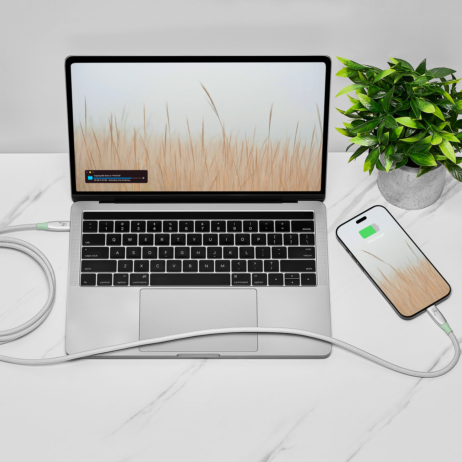 Insignia 2.1m USB-C to USB-C Cable - Only at Best Buy