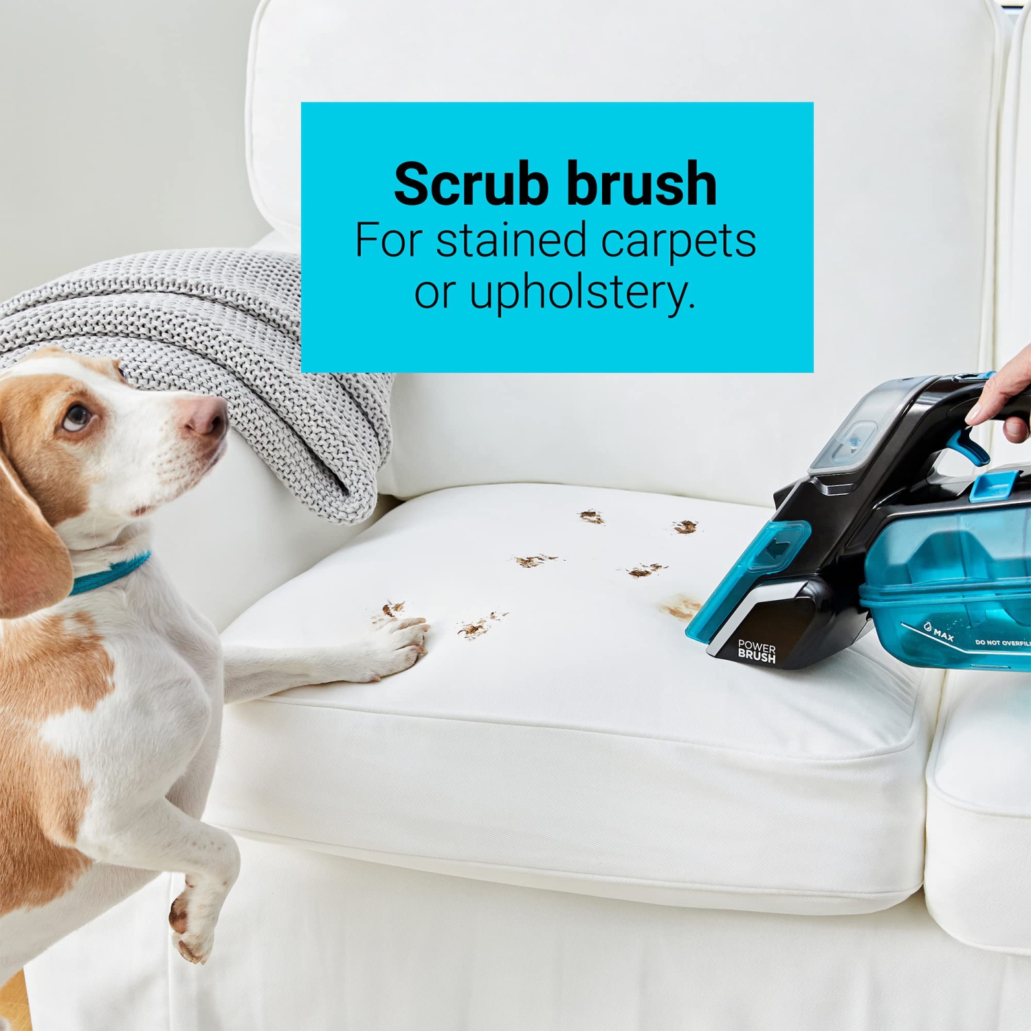 BLACK+DECKER spillbuster Portable Carpet Cleaner, Cordless Spill and Spot