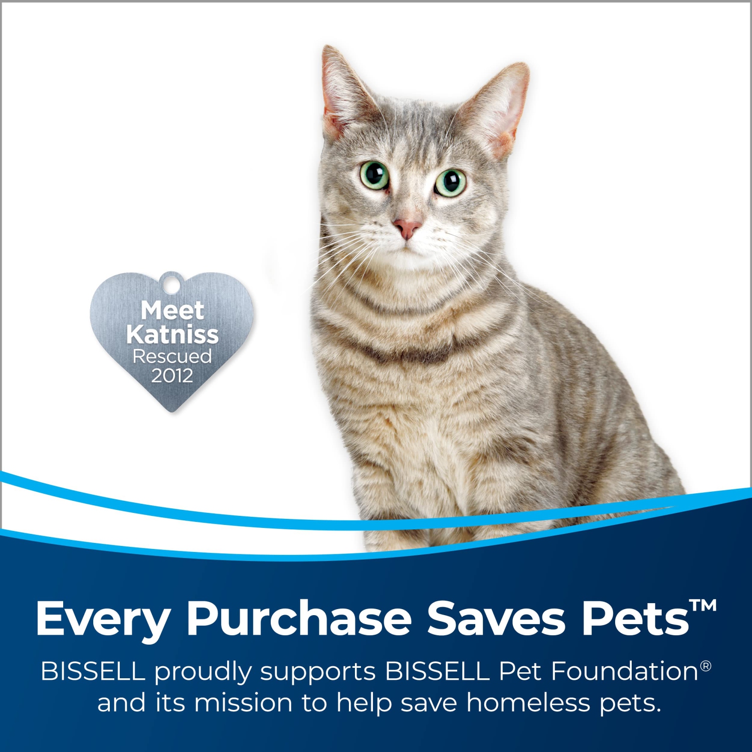 BISSELL AeroSlim Cordless Handheld Vacuum 2986D