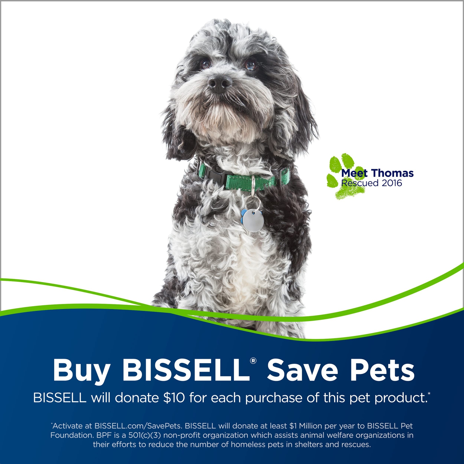 Bissell - Hand Vacuums - PowerClean Pet Cordless - with Motorized Brush, Upholstery Tool and Crevice Tool| 2389D , Green