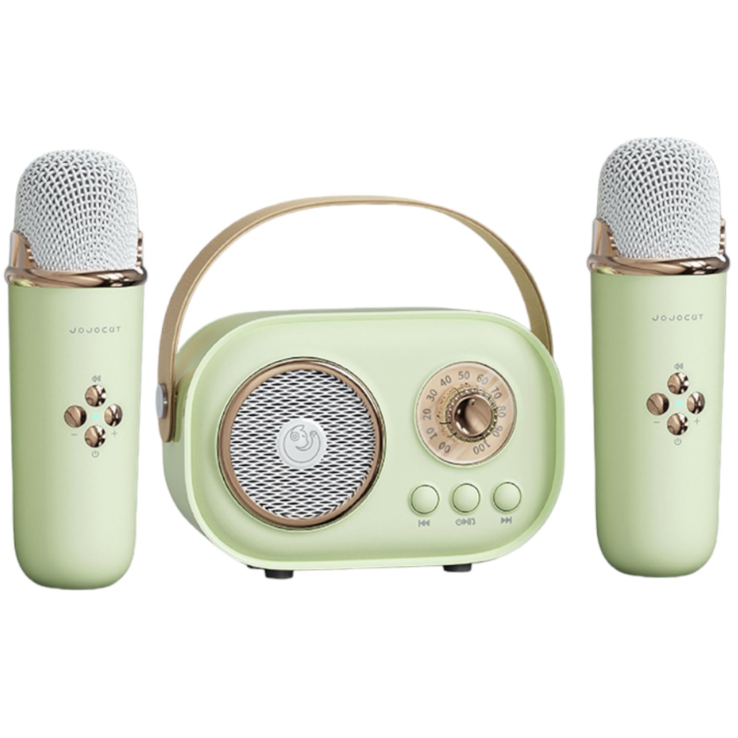 Karaoke Machine, Portable PA Speaker System with 2 Wireless Microphone for Home Party, Meeting, Wedding, Church, Picnic, Outdoor/Indoor