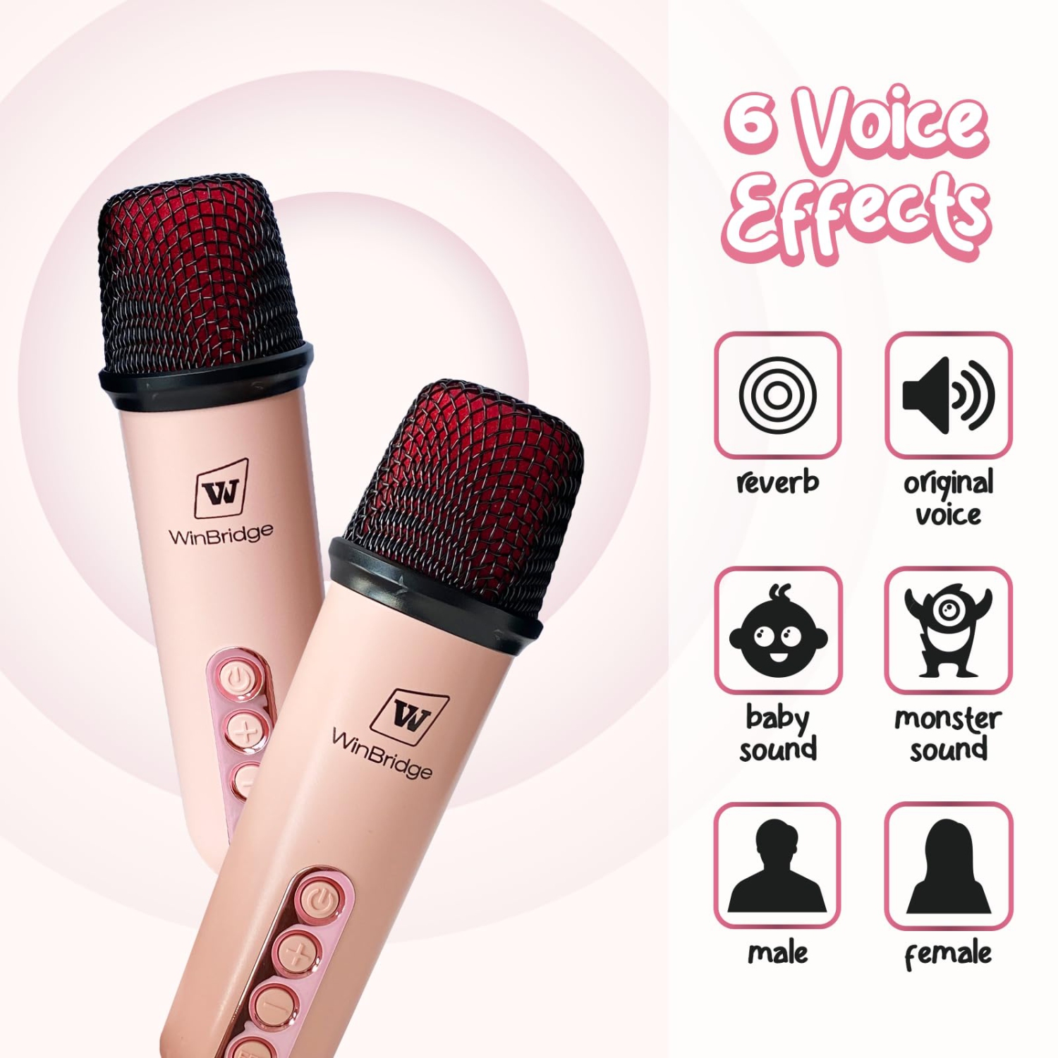 Karaoke Machine for Kids Adults,Portable Bluetooth Speaker with Two Wireless Microphone, Mini Karaoke Machine with High Battery 4000mAh, Karaoke Toys